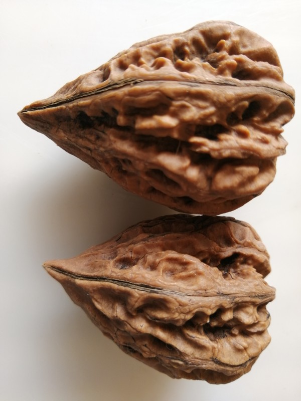 鬼脸核桃四面鬼脸起拍价5元一个有买的请电话