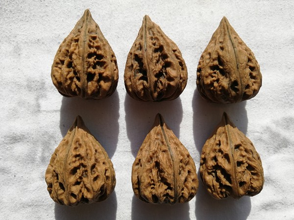 鬼脸核桃,四面鬼脸,起拍价5元一个,有买真假_图片_价格_评级-文玩杂项