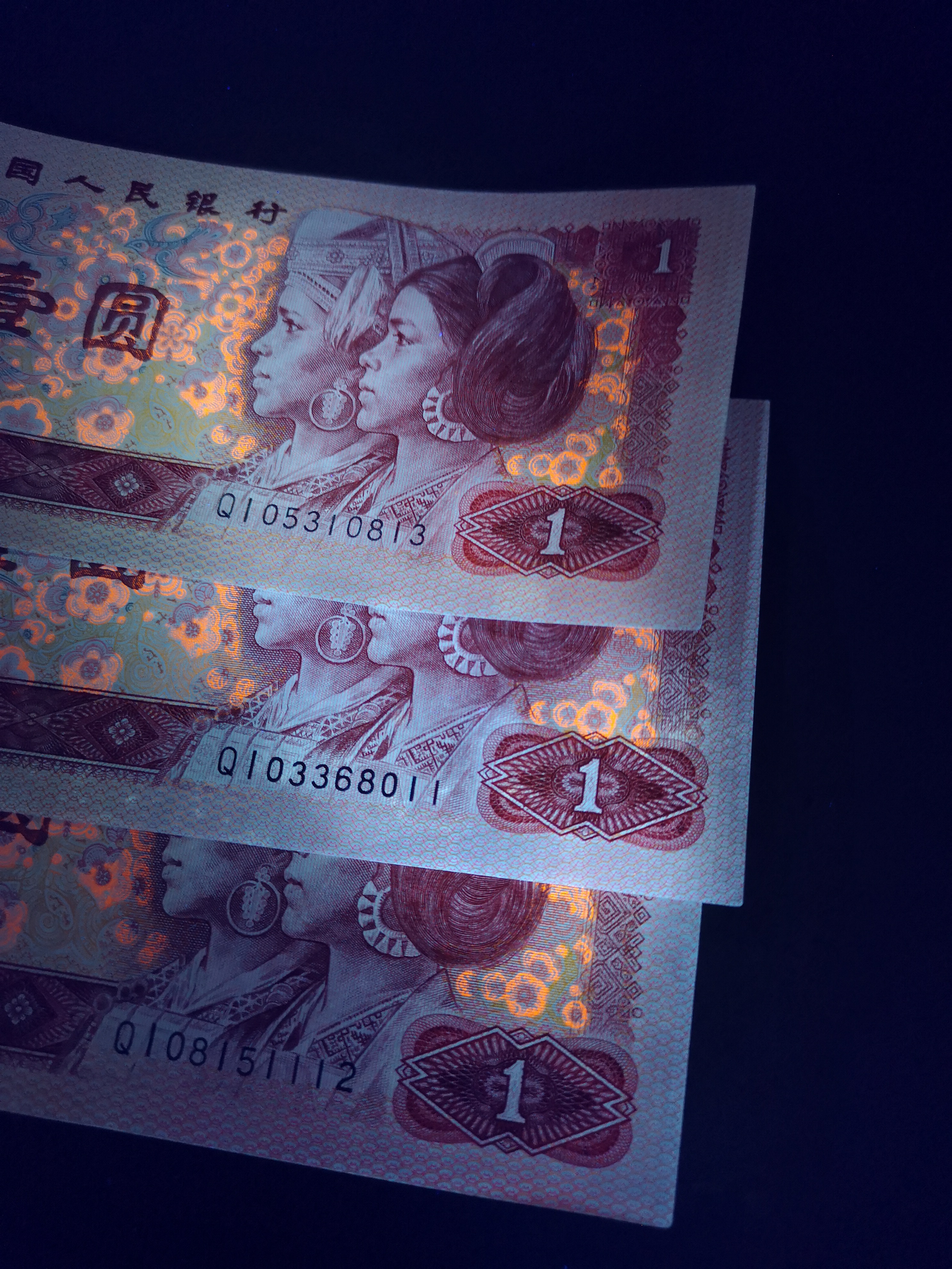 801红金龙,强荧光,qi早期