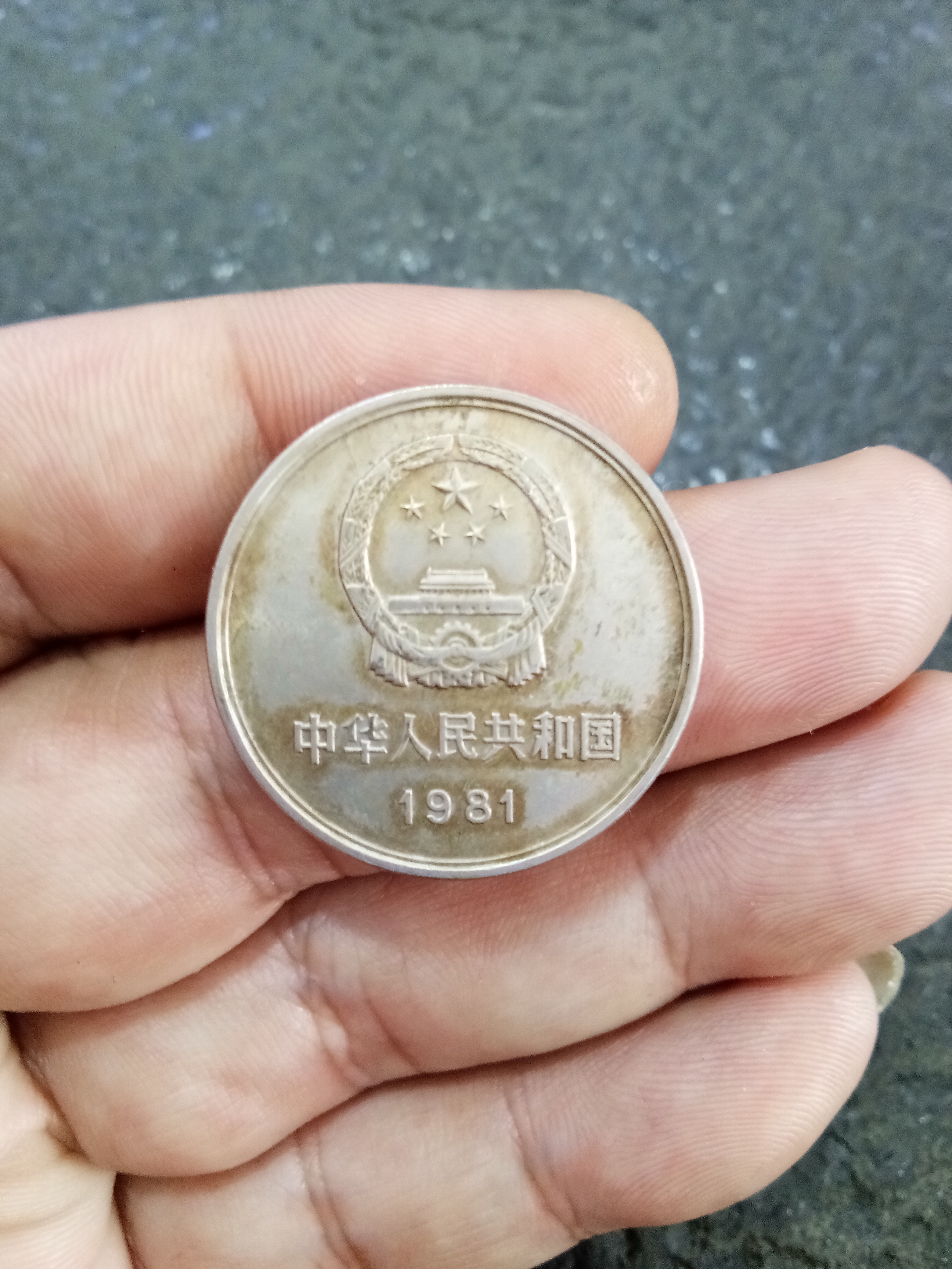 1981年长城币流通好品按图发货鸽子绕行