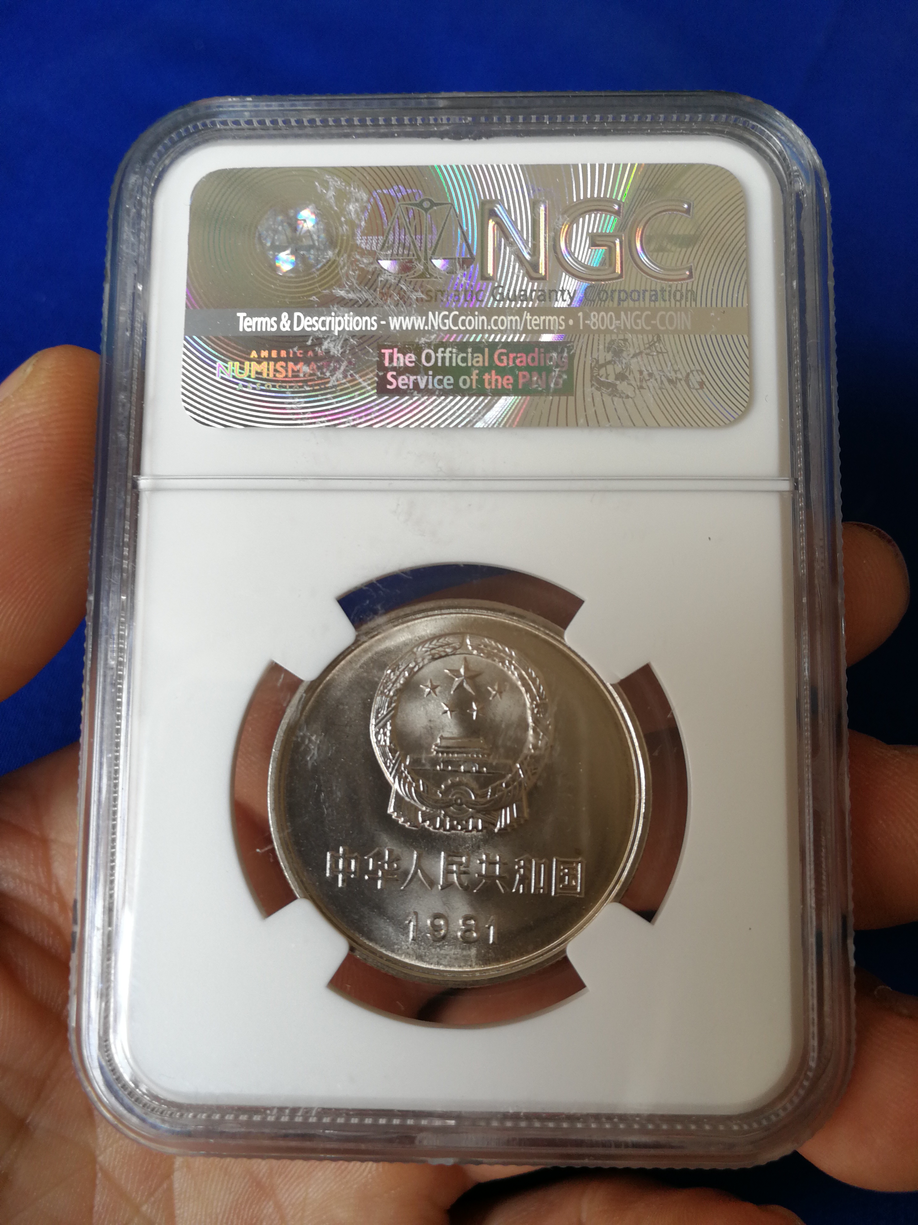 2976_3968竖版 竖屏