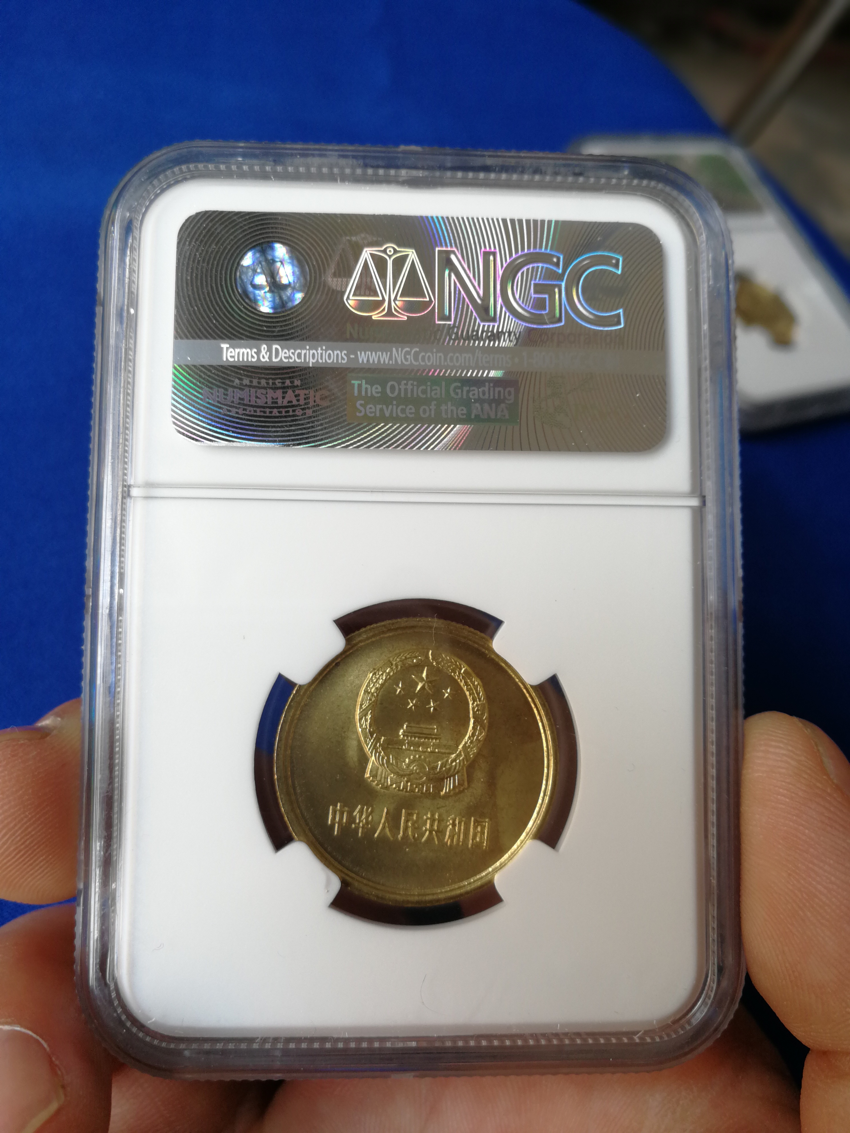 2976_3968竖版 竖屏