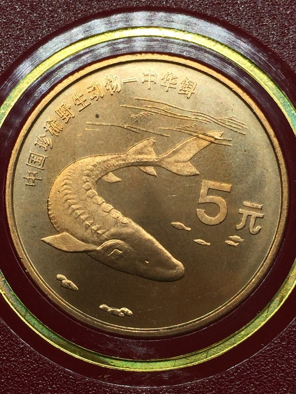 一枚中华鲟野生动物纪念币带银行包装保真