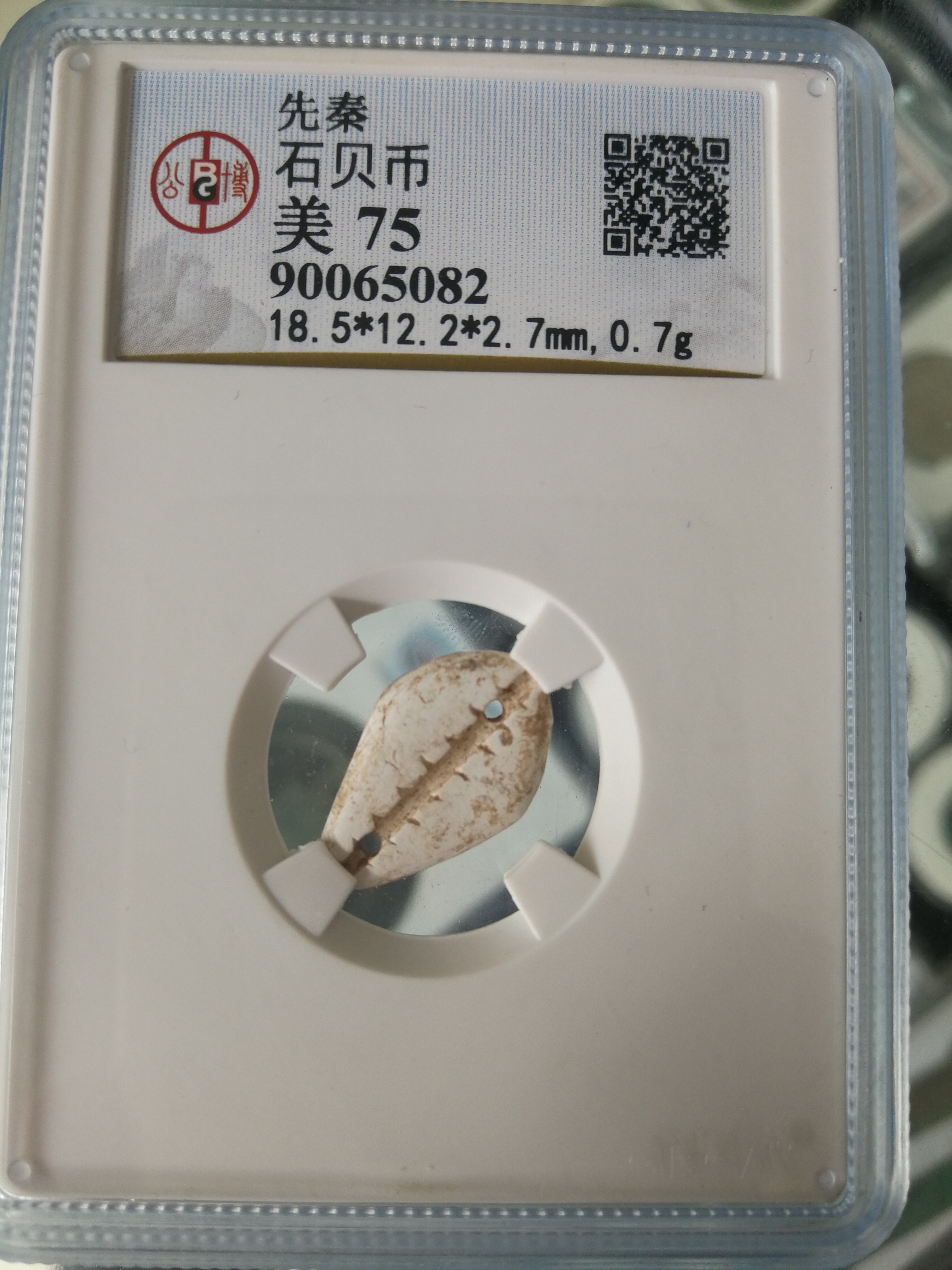 先秦石贝币,稀少品种,公博评级