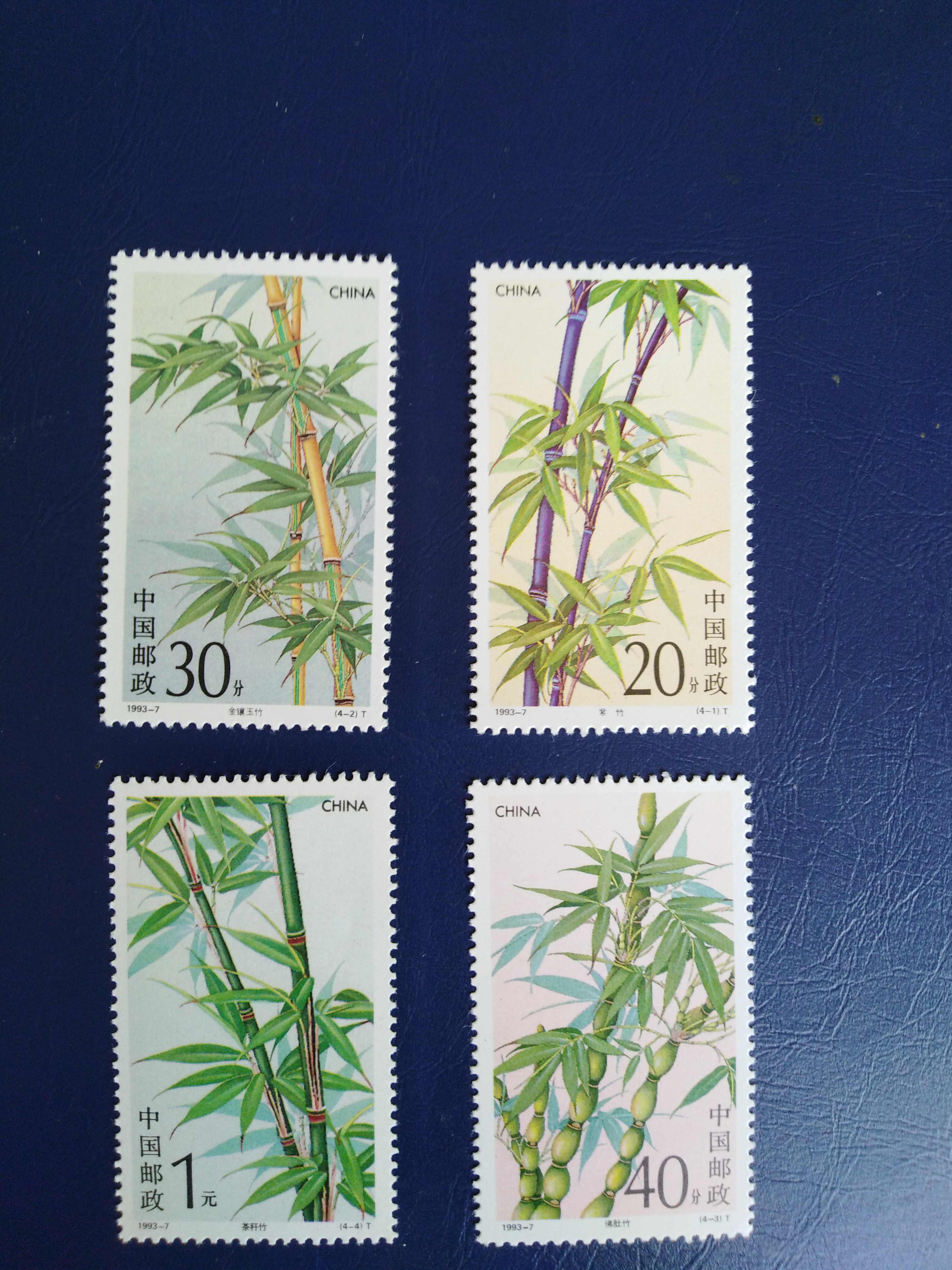 1993-7竹子
