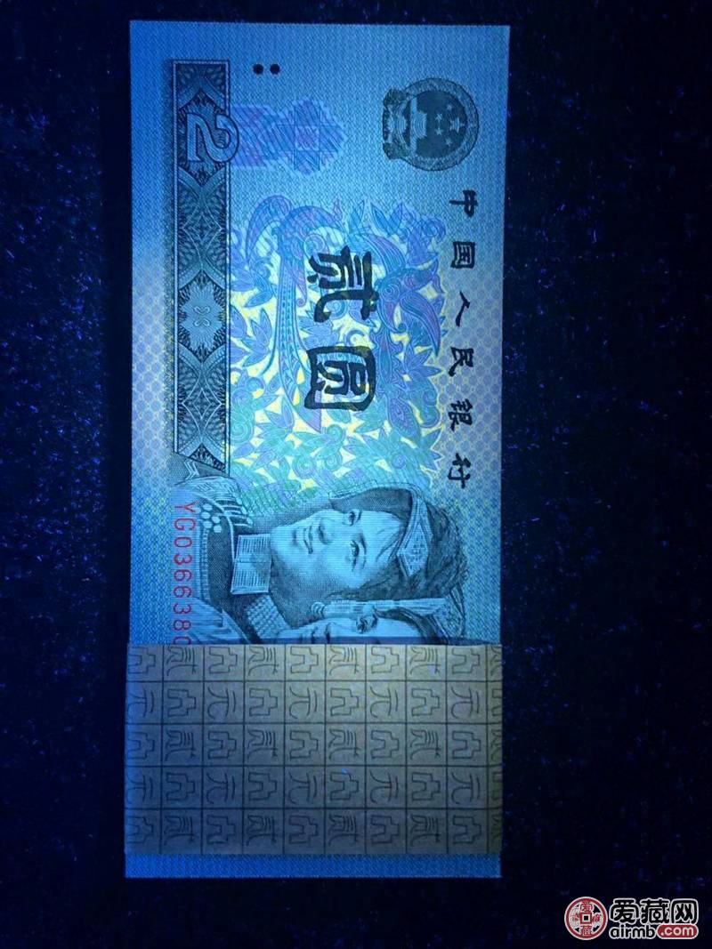 全新902强荧光蓝凤朝阳百连一