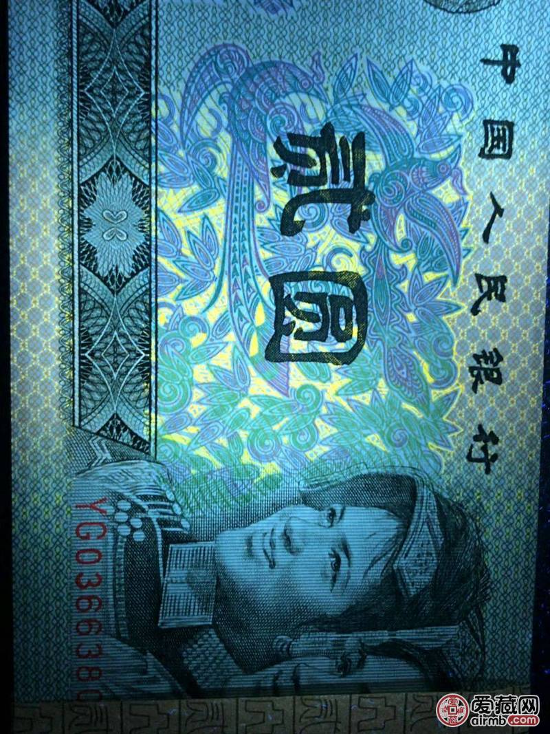 全新902强荧光蓝凤朝阳百连一