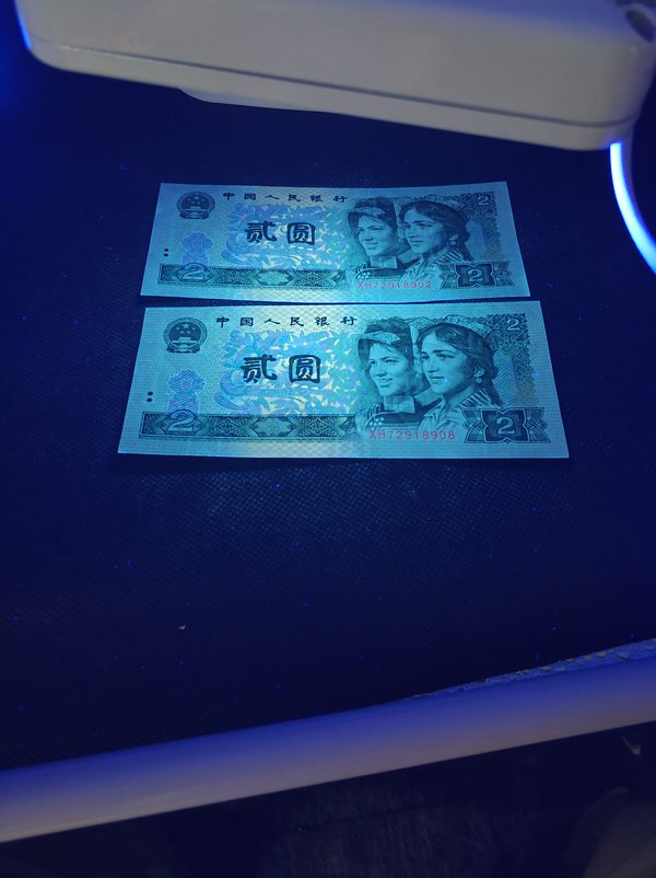 全新902荧光币金凤朝阳强荧光金蟒王红荧冠全