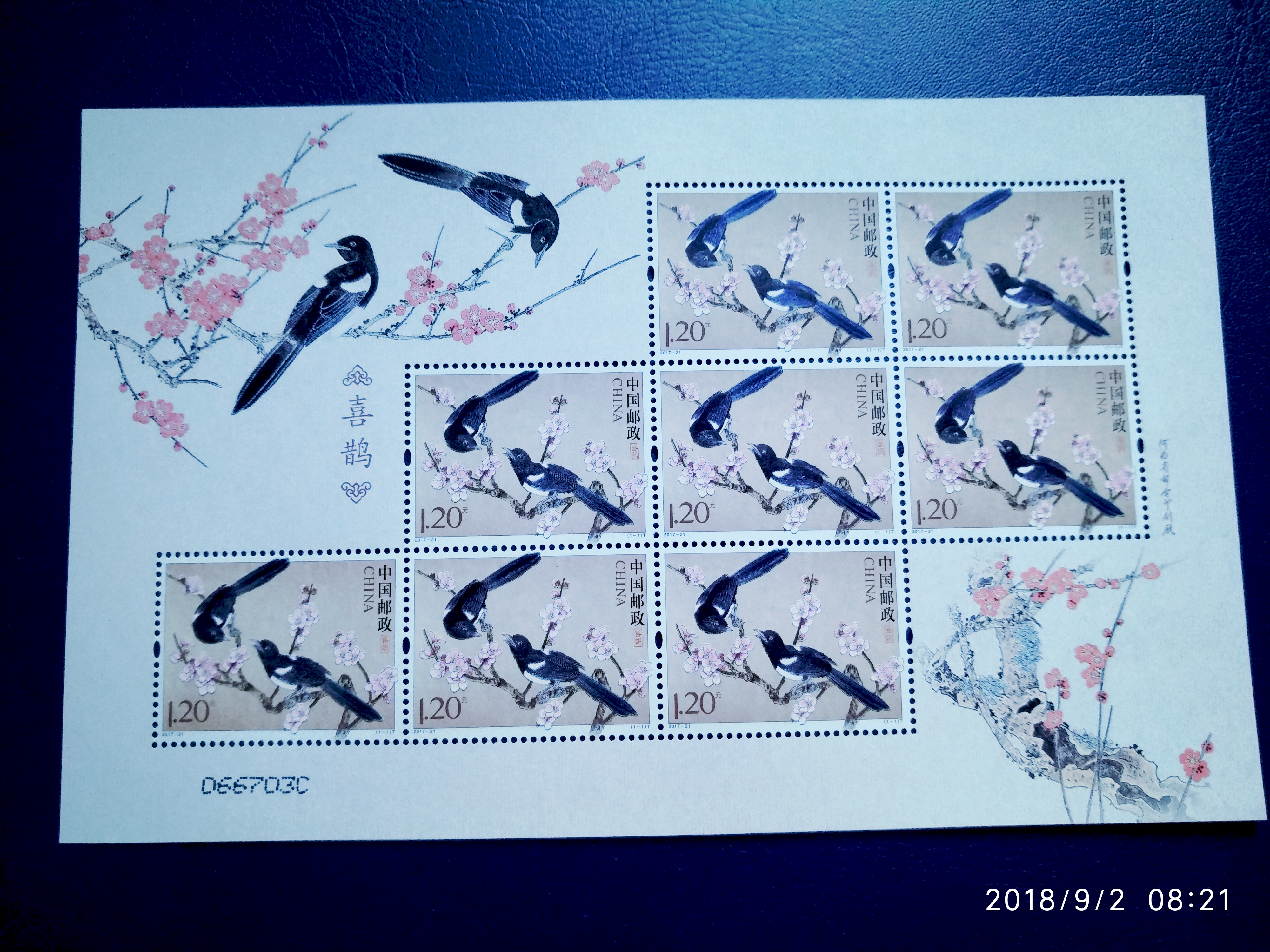 2016/17-21相思鸟,喜