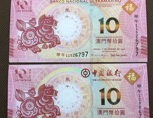 澳门张扬看马视频网站_免费看马资料网站