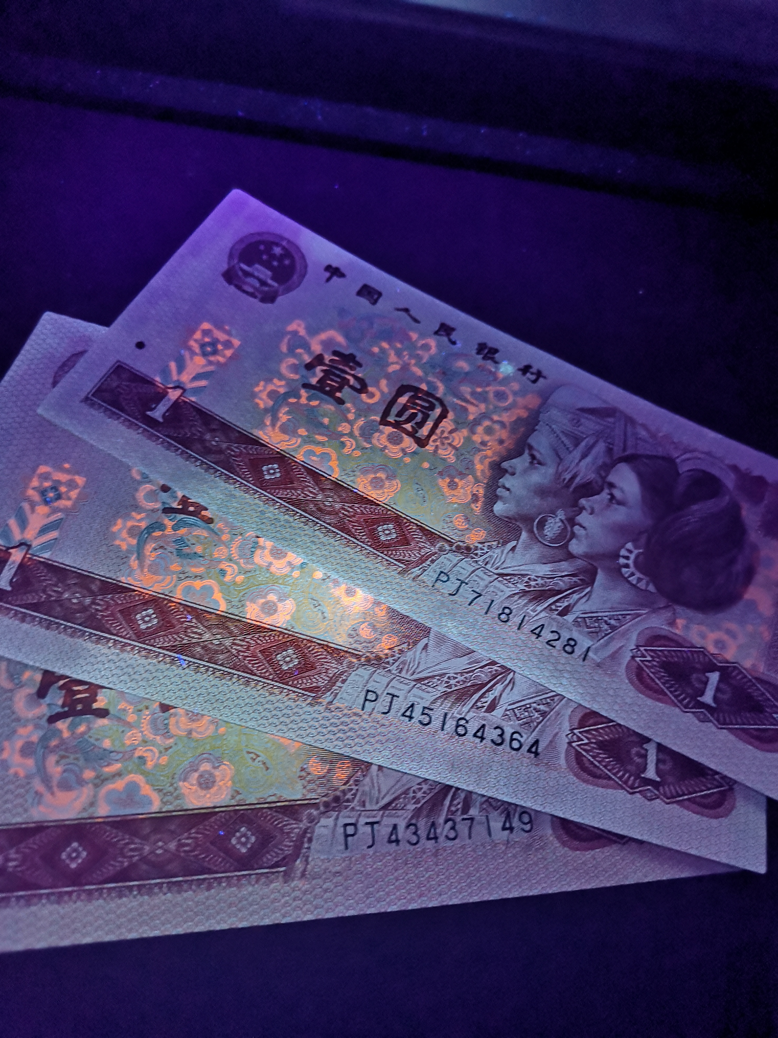 801,红金龙,pj冠早期冠号