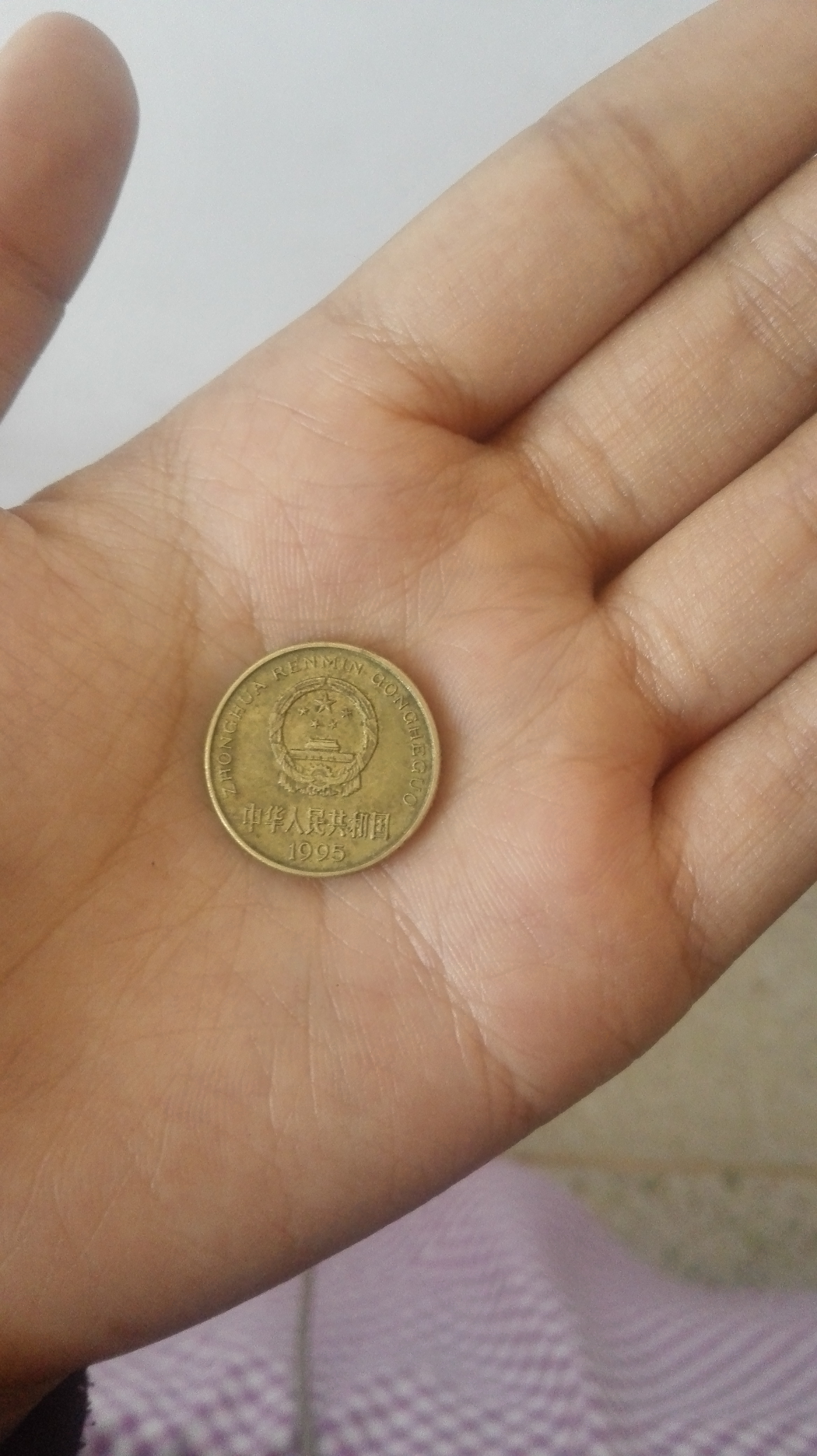 1995年梅花五毛硬币