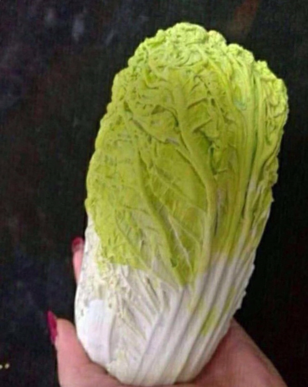 石雕摆件石头宴雪花石果蔬雕件,颜色栩栩如生,和真的