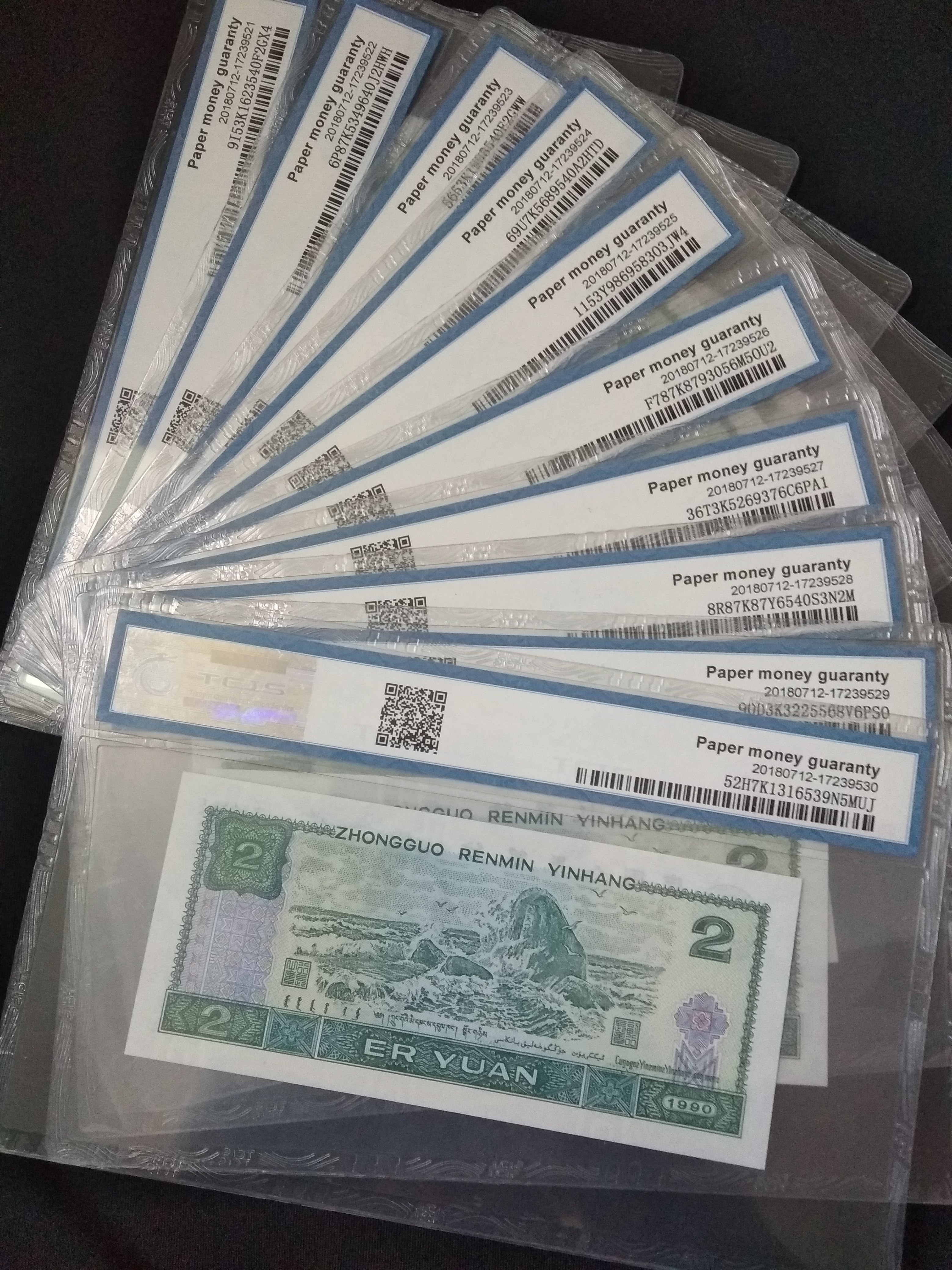 902强荧光蓝凤朝阳(金网格)