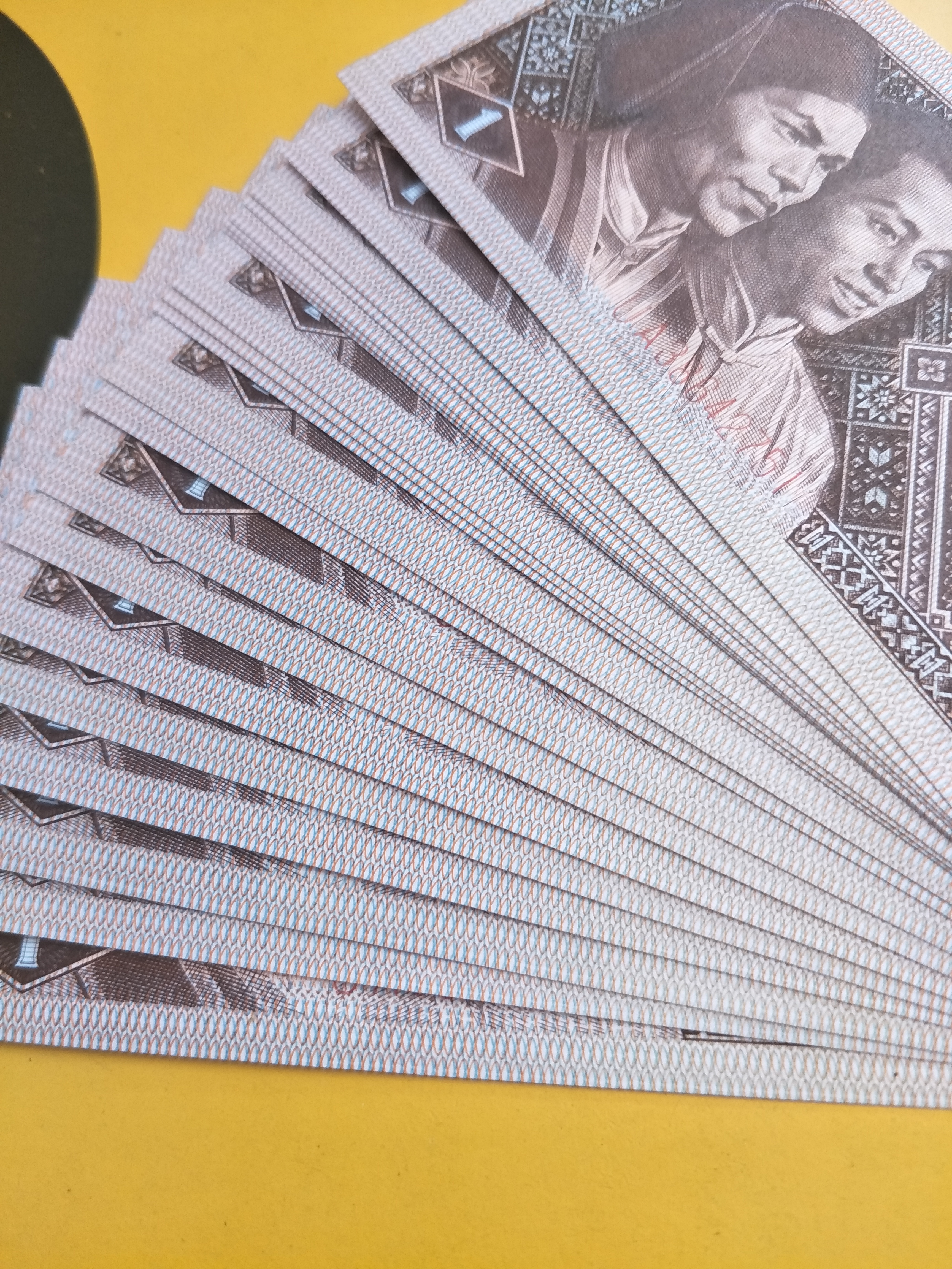 8001强黄金甲.背绿星星标2