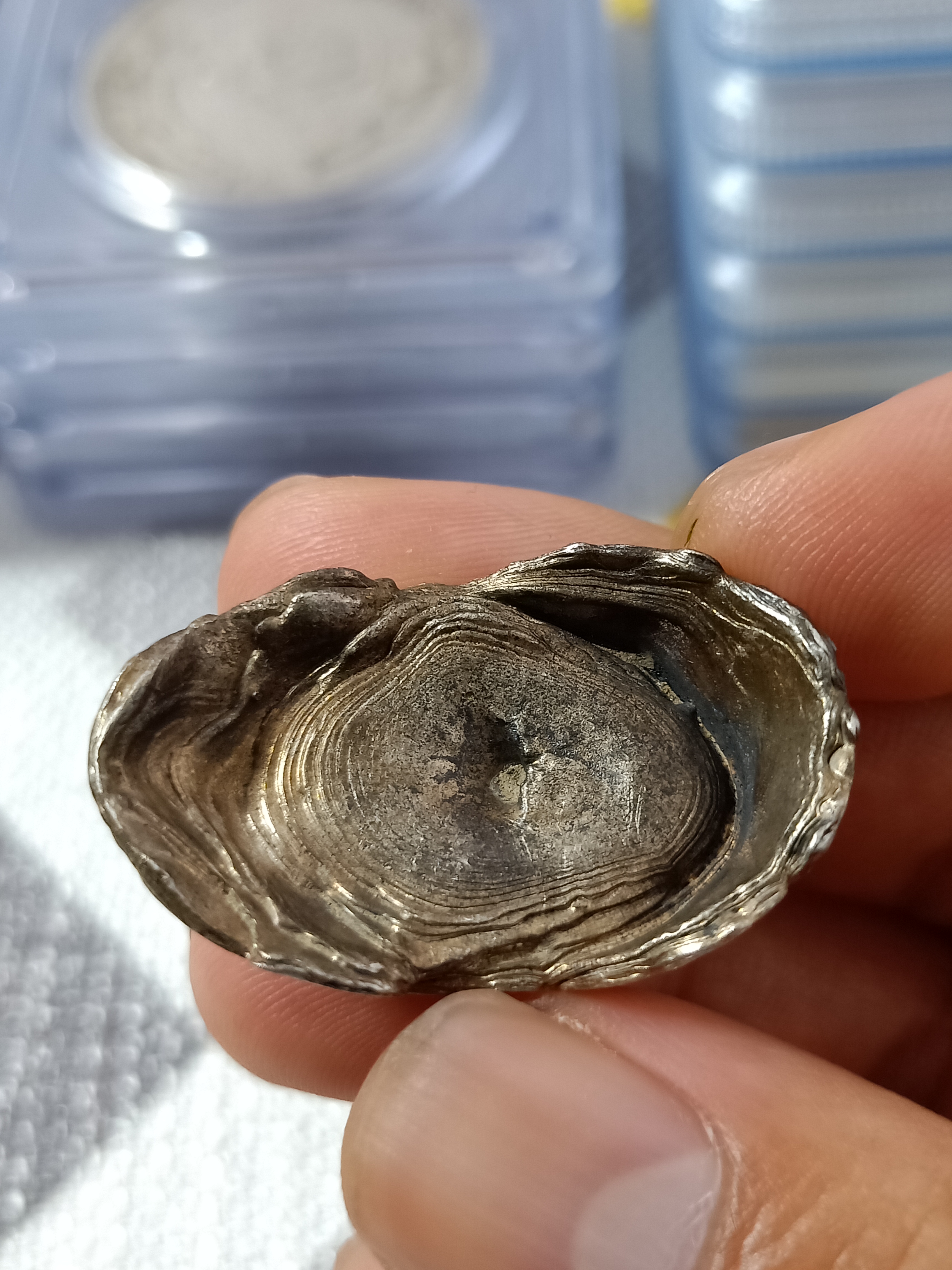 清代元宝型小银锭,民国初,多数