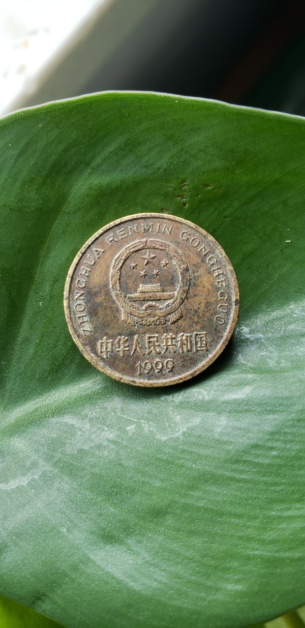 1999年梅花五角经典老包浆一枚,按图发真假_图片_价格_评级-硬币-爱藏