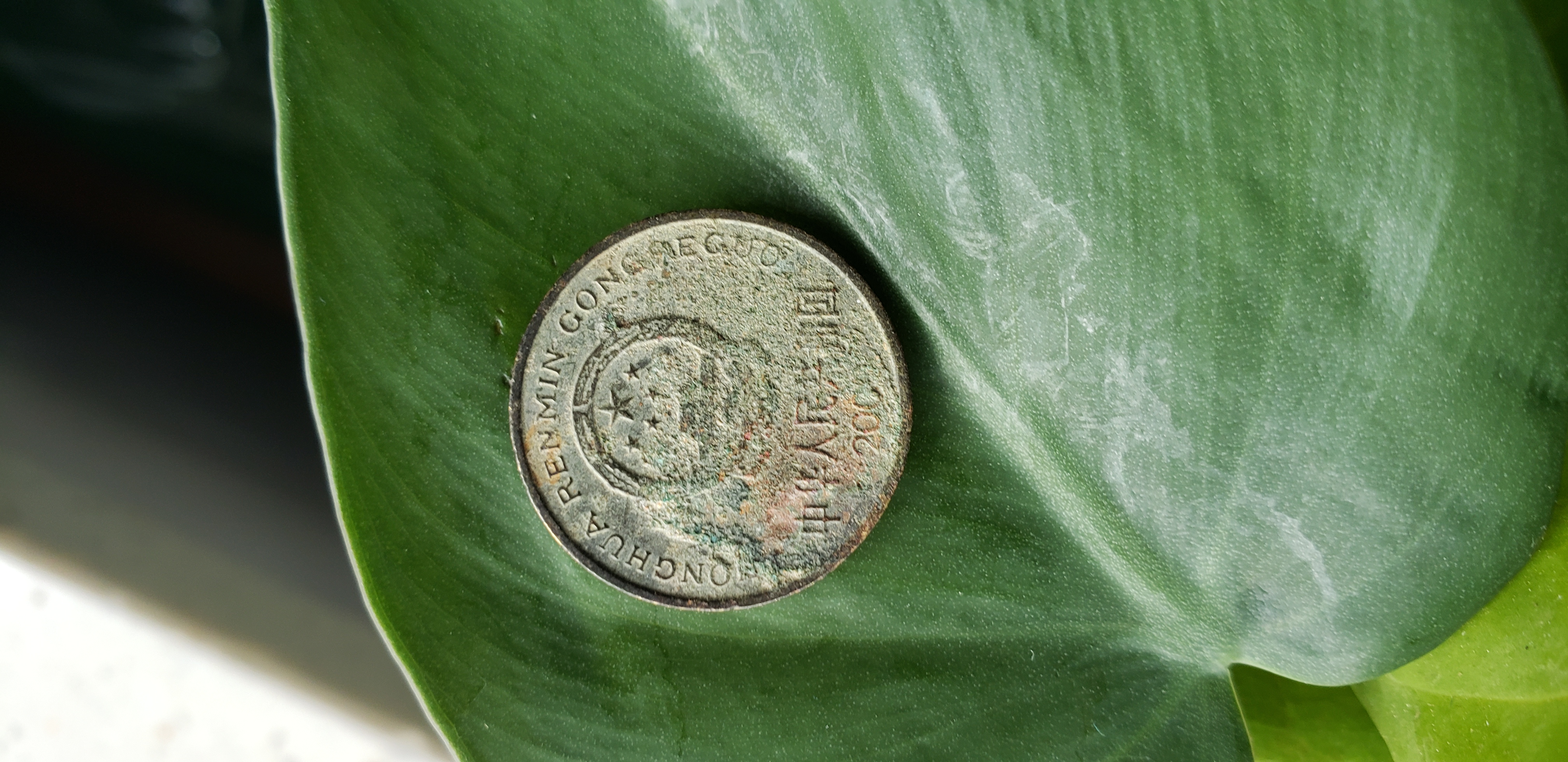 2000年梅花五角经典老包浆一