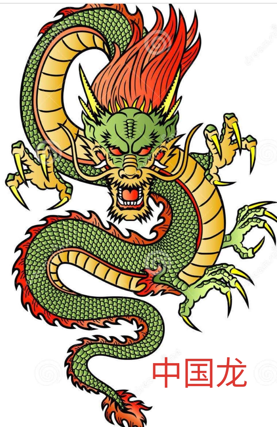 801中国龙冠号大全套!中国龙