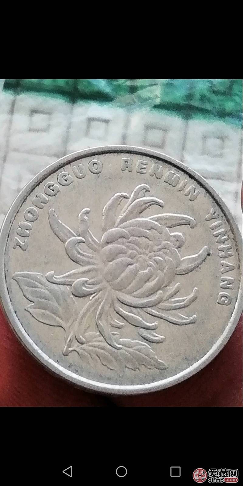 2002菊花一元菊花背面字母