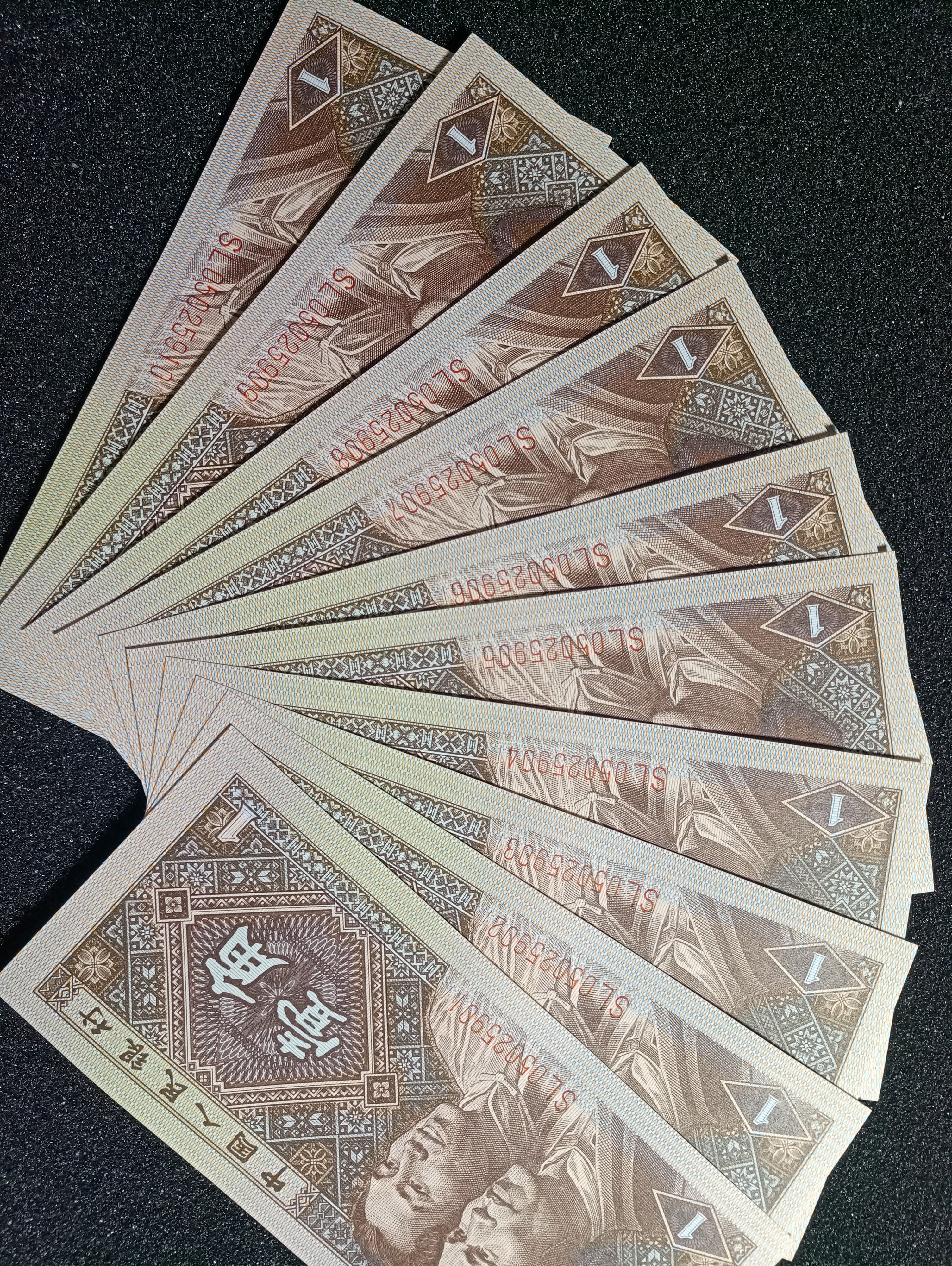 放漏推广8001sl正红背绿龙