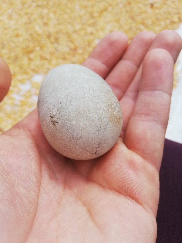 石胆,天然形成,是从一块大石头里面破出来真假_图片