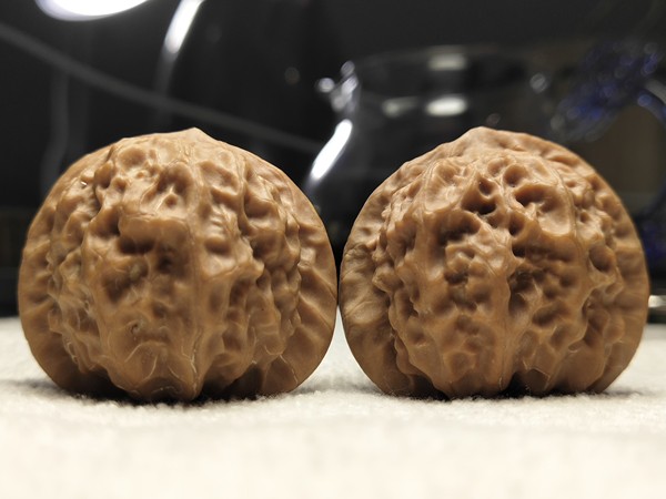 官印狮子头,喜欢的来主营产地:兴隆!众所周知,兴隆