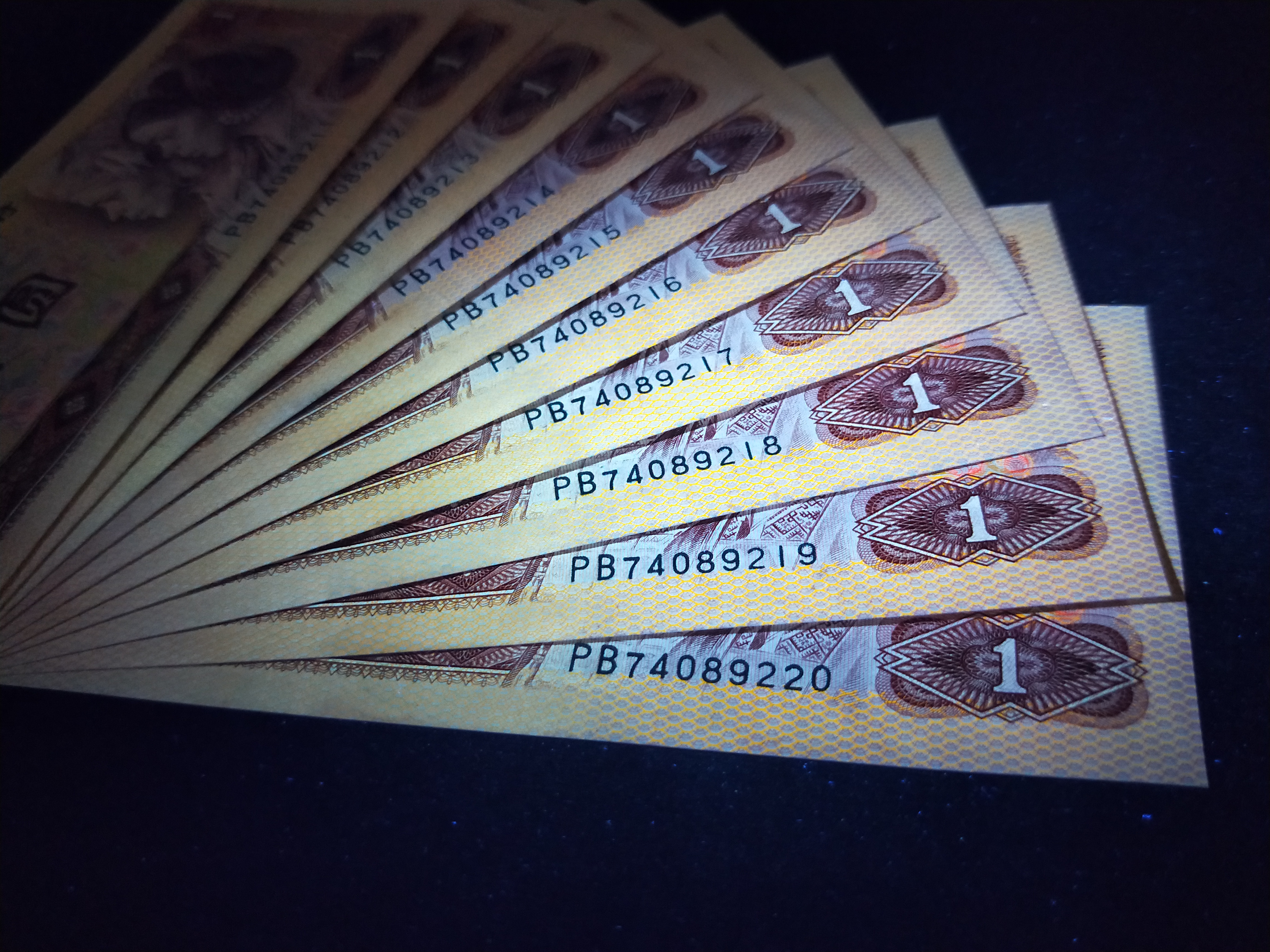 801荧光版金龙王【pb稀冠】