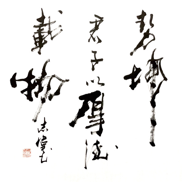 寇志伟天行健四尺整幅作者寇志伟来源作者本