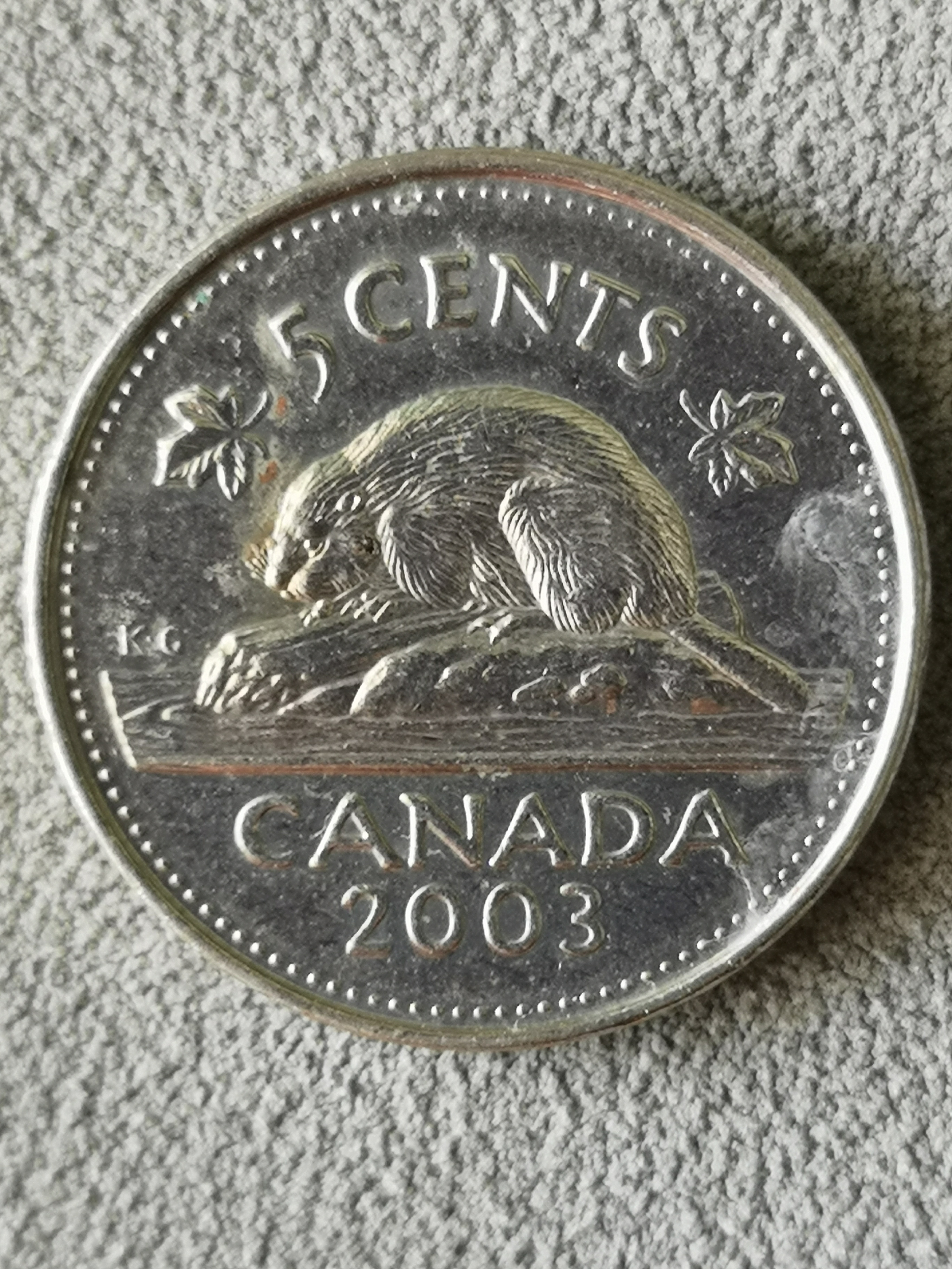 加拿大硬币面额图片
