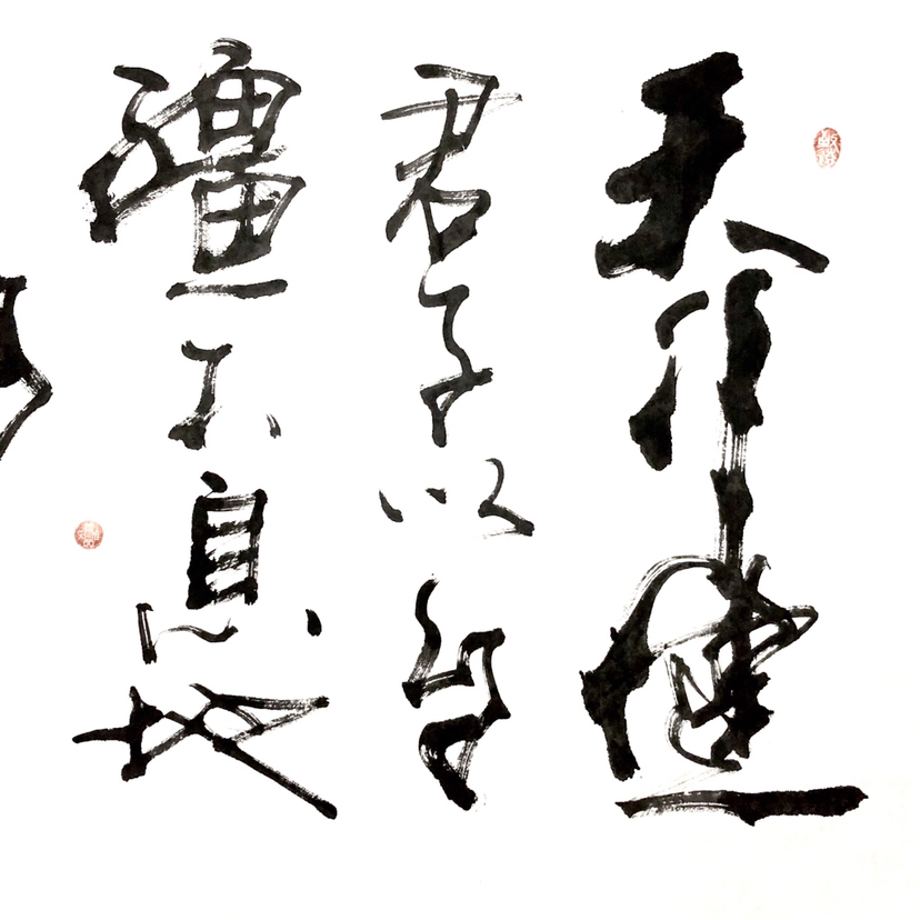 『寇志伟·天行健』四尺整幅作者