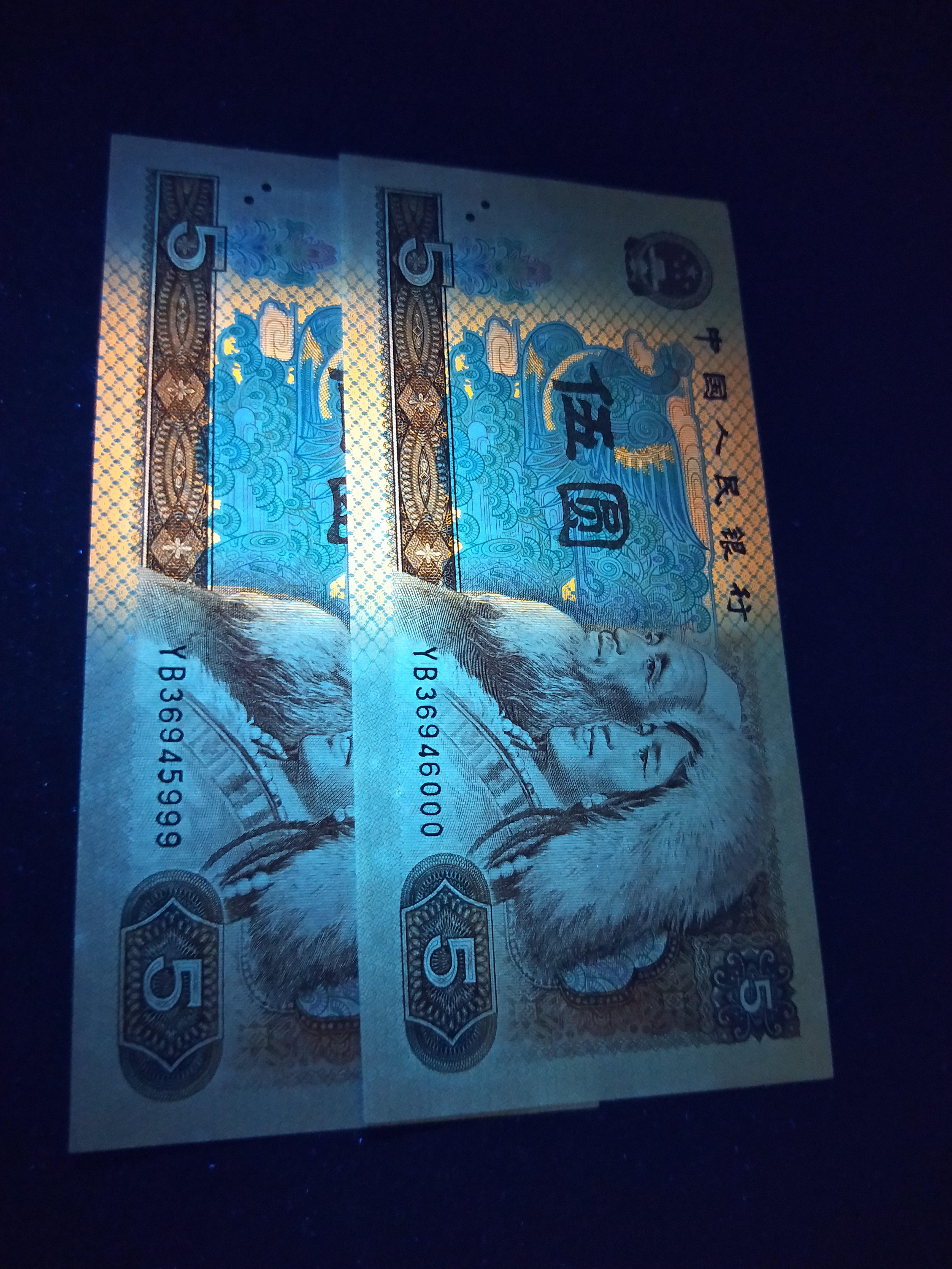 全新全品805荧光版【红光蓝鹤