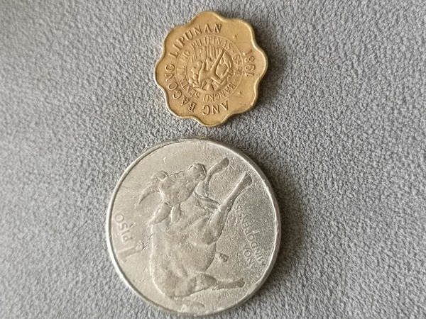 菲律宾老硬币硬币2枚1981年红铜合金5分1985