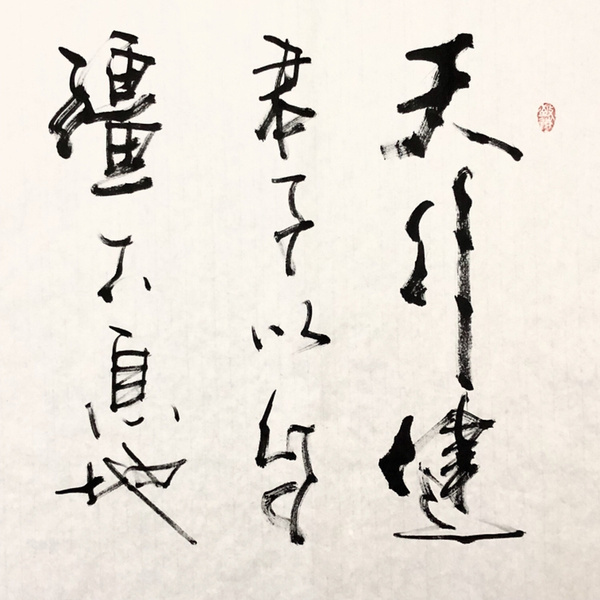 寇志伟天行健四尺整幅作者寇志伟来源作者本