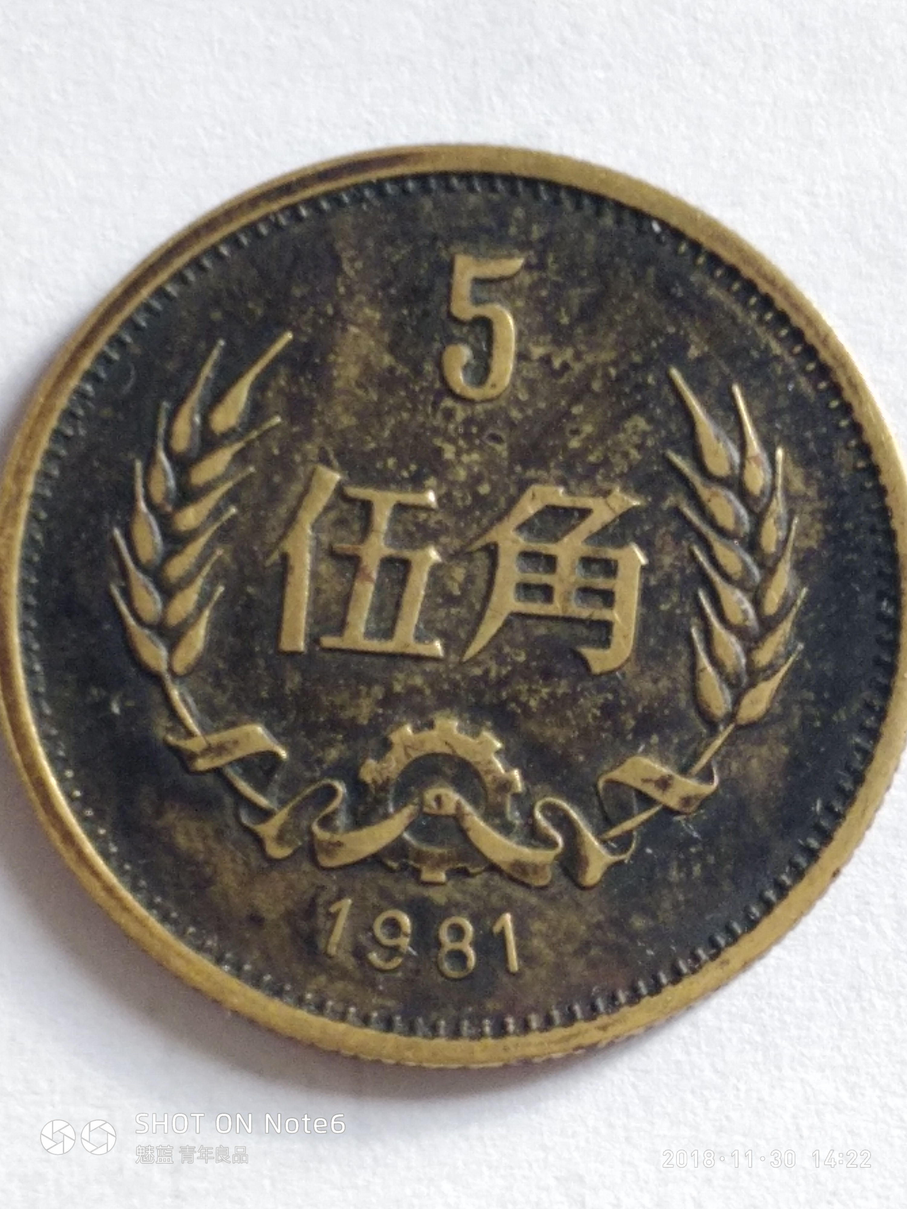 长城币81年五角一枚!青海,西