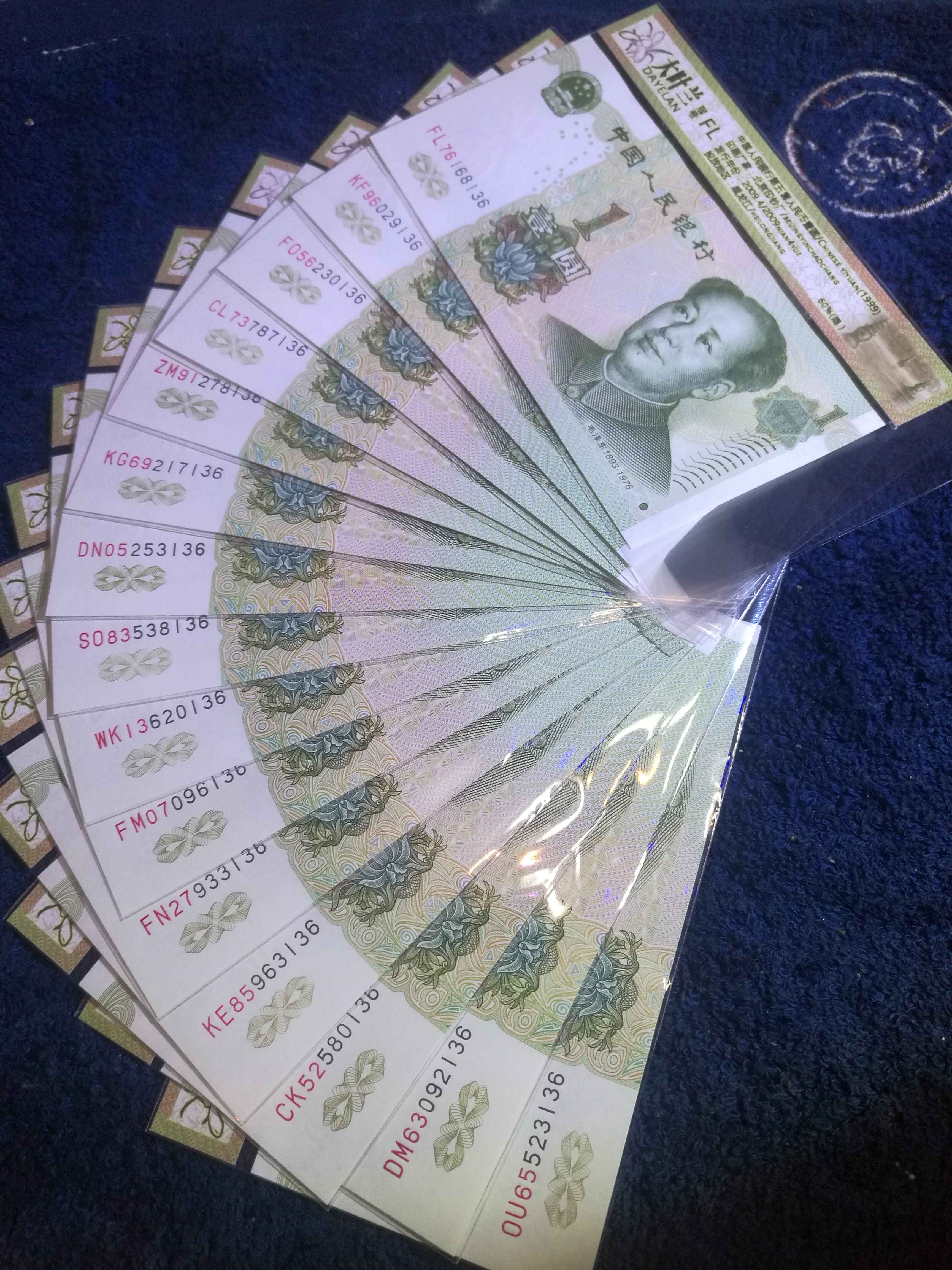 991大叶兰十姐妹 五朵银花.