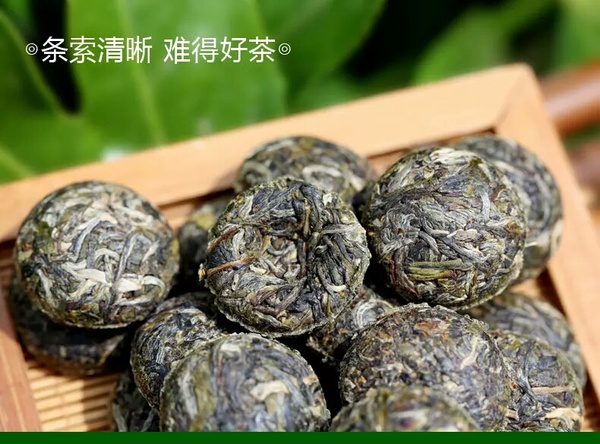 500g約90顆2017春茶能看到條索早春沱生茶葉