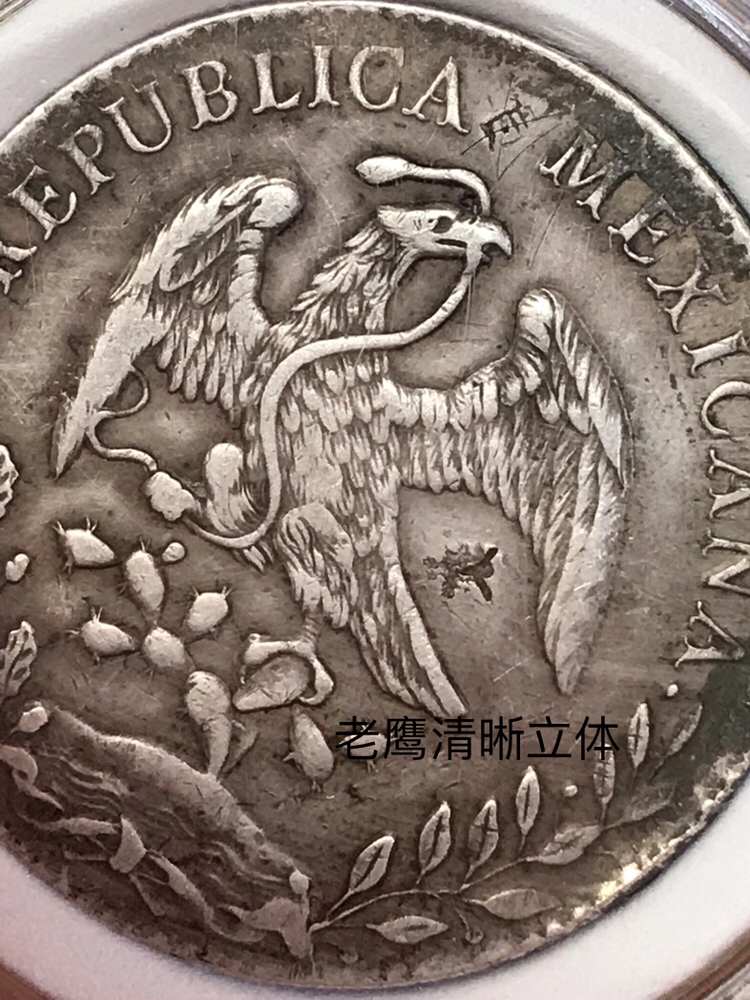 老鹰图案的钱币图片
