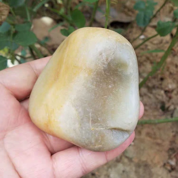 真皮和田玉原石毛料新疆和田玉籽料玉料重542克81