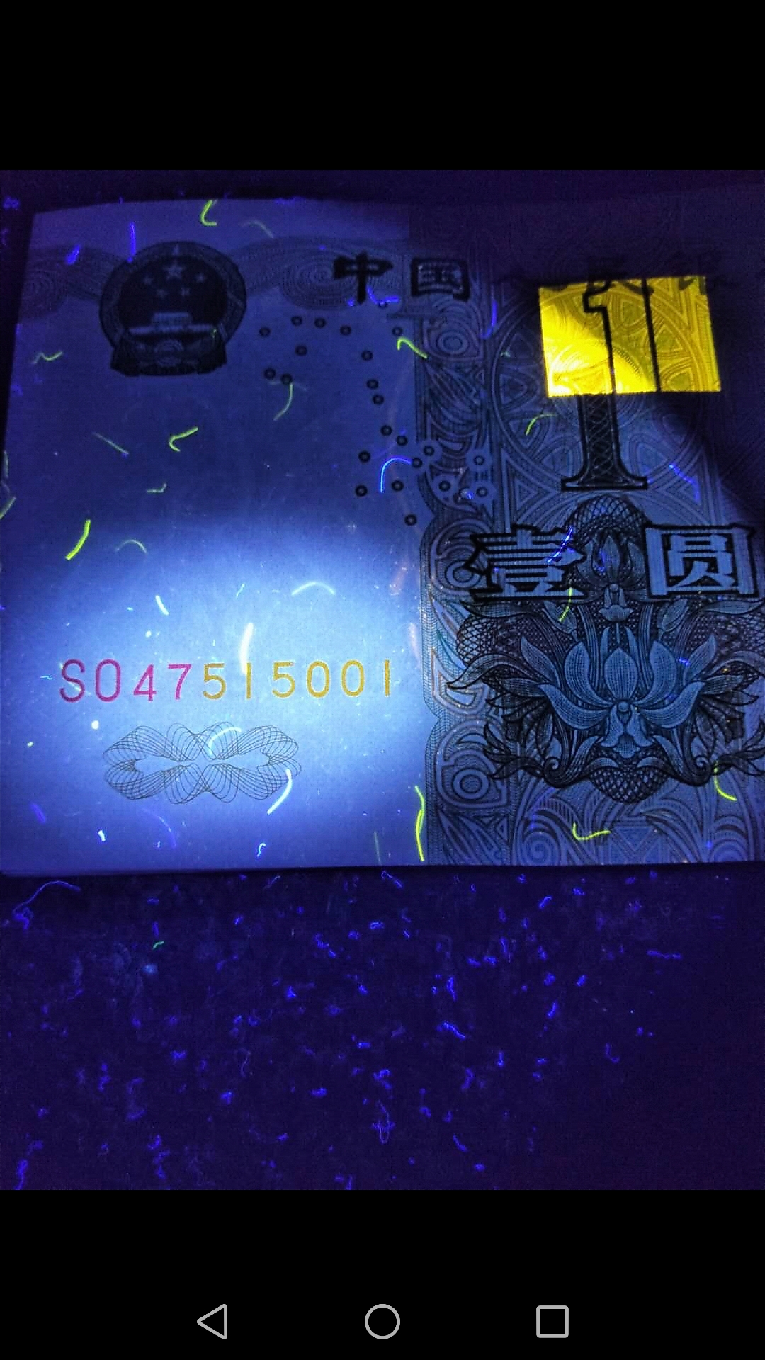 大叶兰首发冠数字荧光标十1组