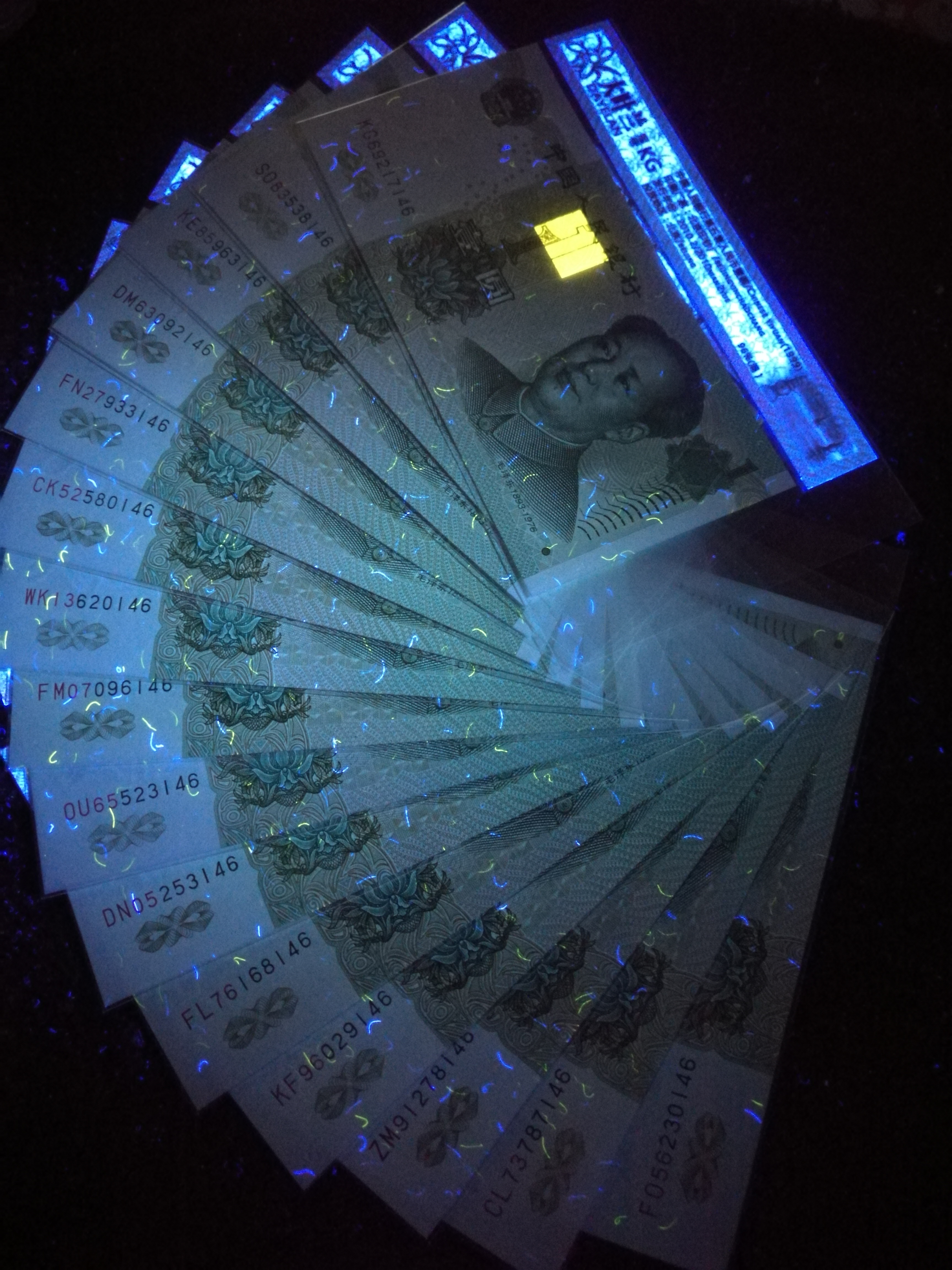 991大叶兰十姐妹 五朵银花.