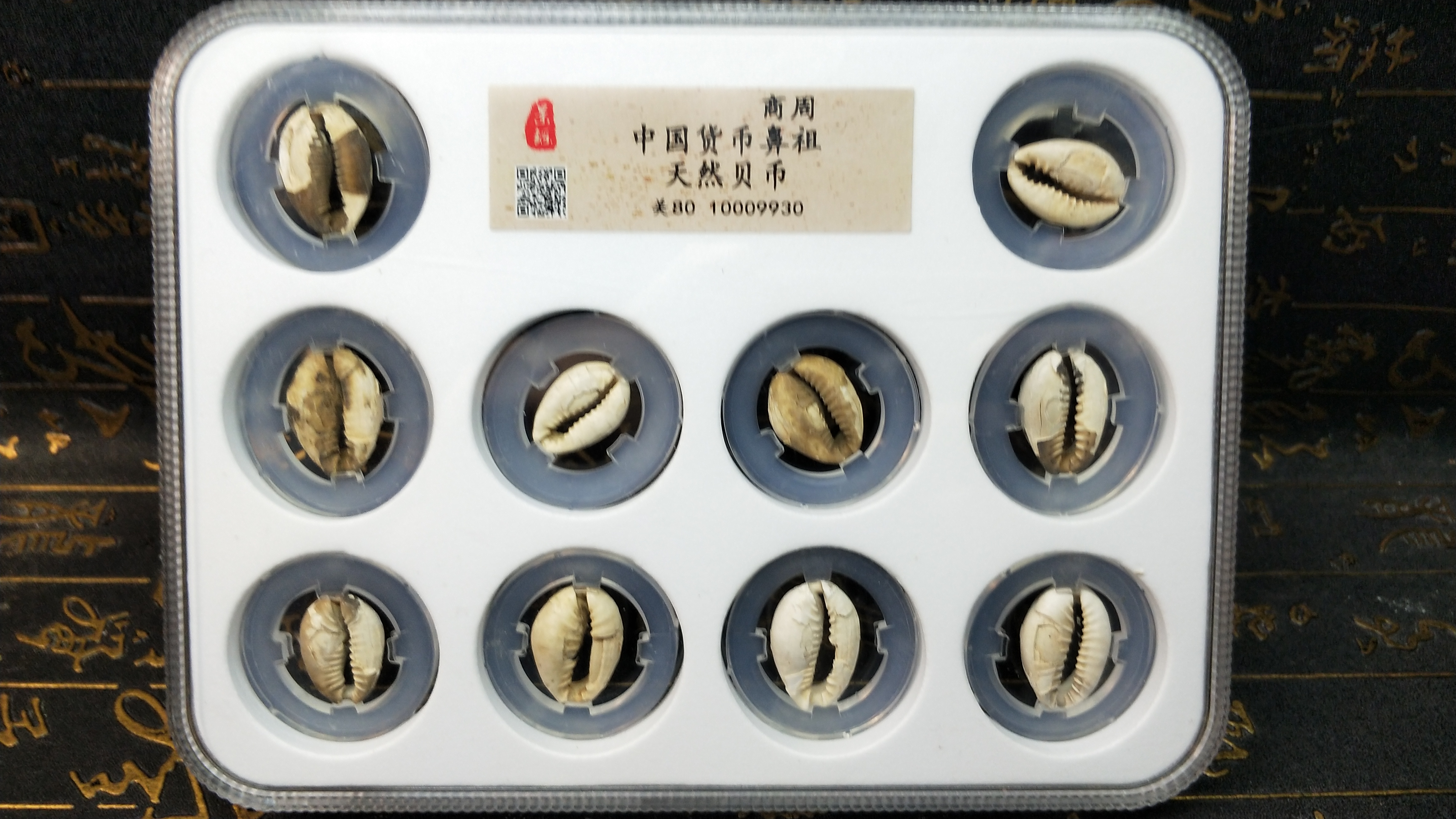 0元起拍.中国货币鼻祖(商周)