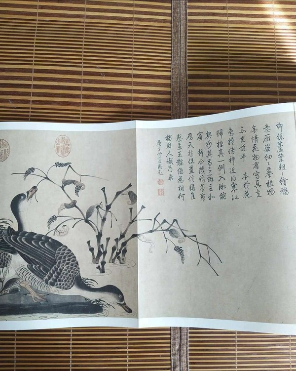 早年收藏,徽宗花鳥畫冊真假_圖片_價格_評級-書畫篆刻-愛藏網