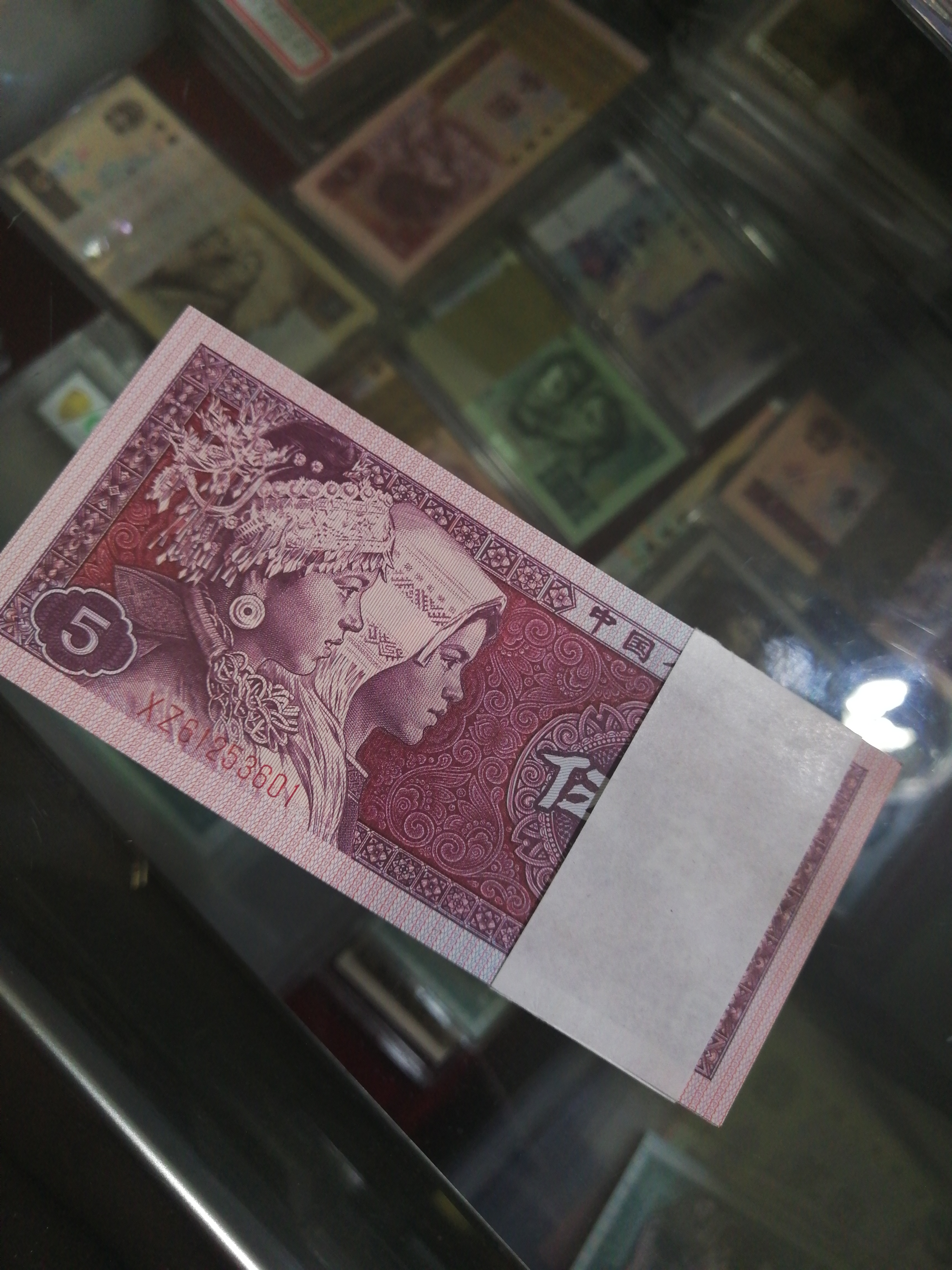 8005xz黑美人百连牛号66