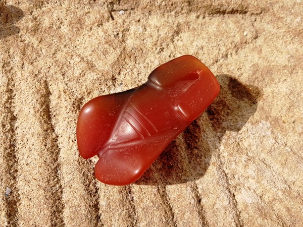 藏品名称红山老玛瑙蝉型挂件藏品尺寸长72m