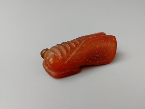 藏品名称红山老玛瑙蝉型挂件藏品尺寸长72m