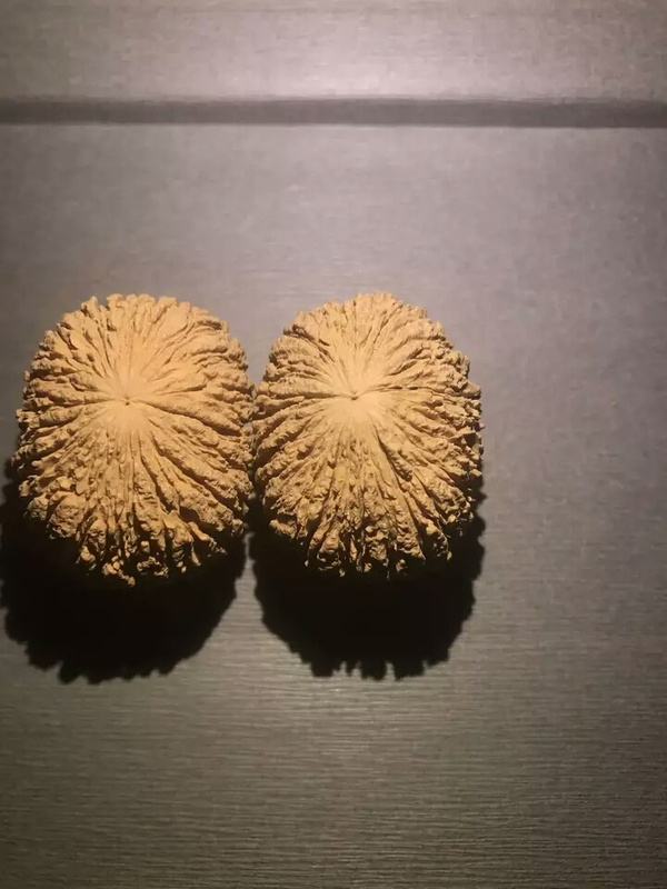 文玩核桃手把件美国野生猴头核桃手把件手球手玩件手上