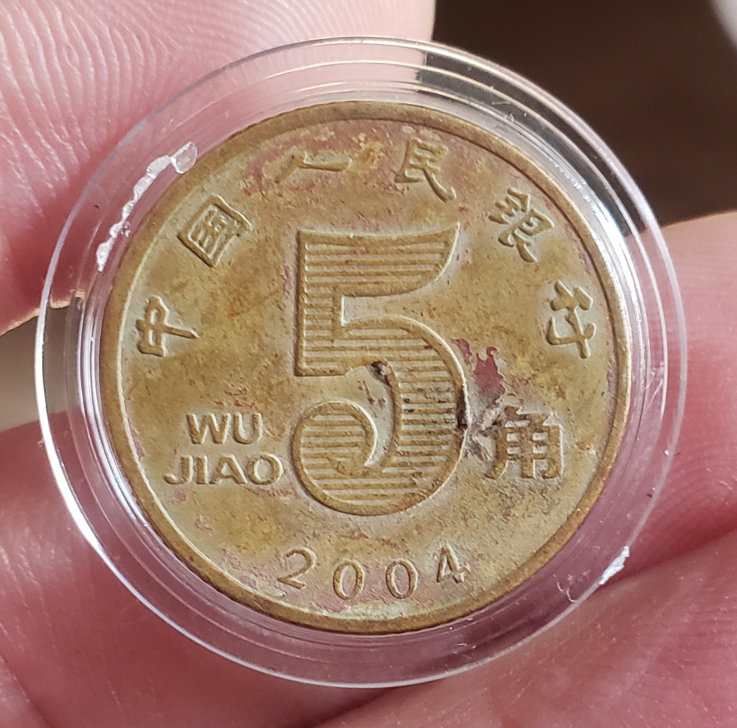 荷花五角币王2004图片