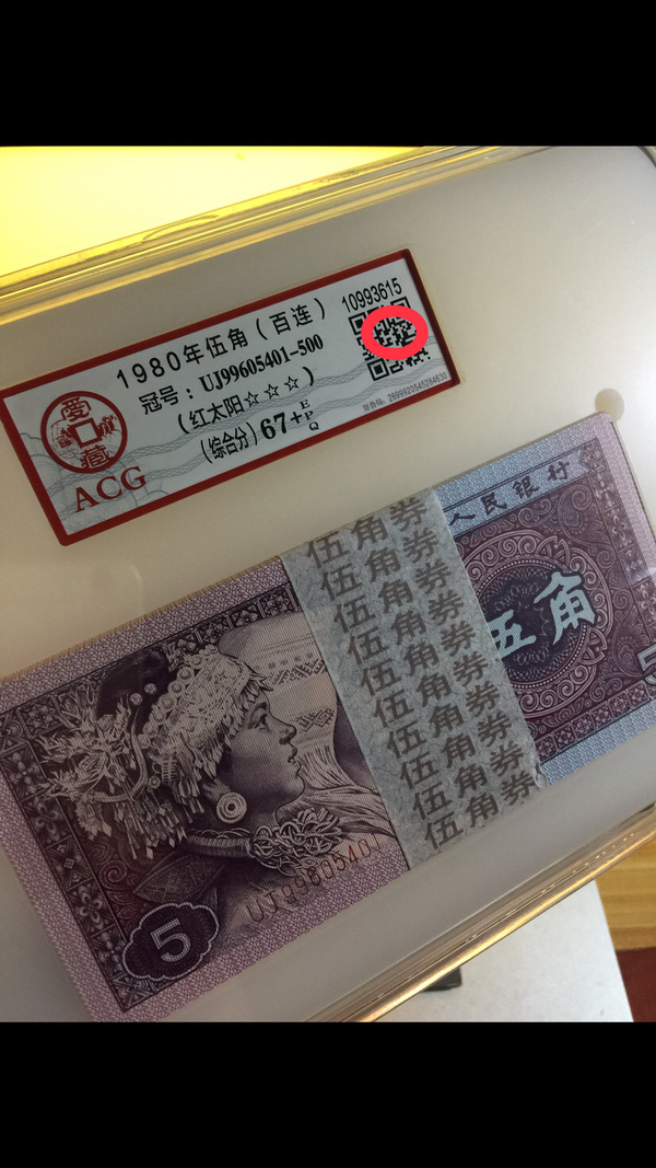 8005灰腰灰姑娘鸡血红荧光编码正面太阳红二合