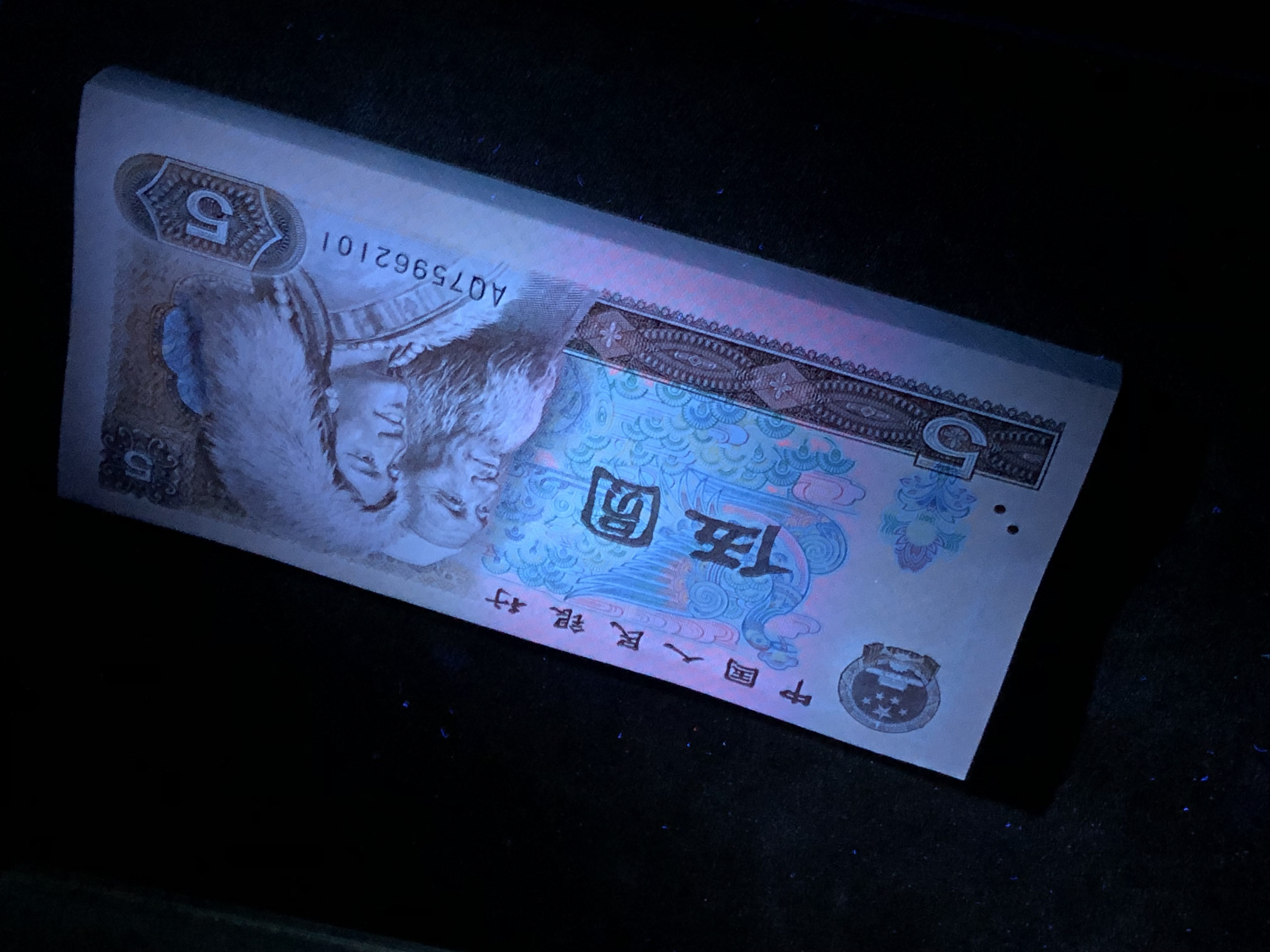 805红霞鹤影捆拆绝中绝无斑爱